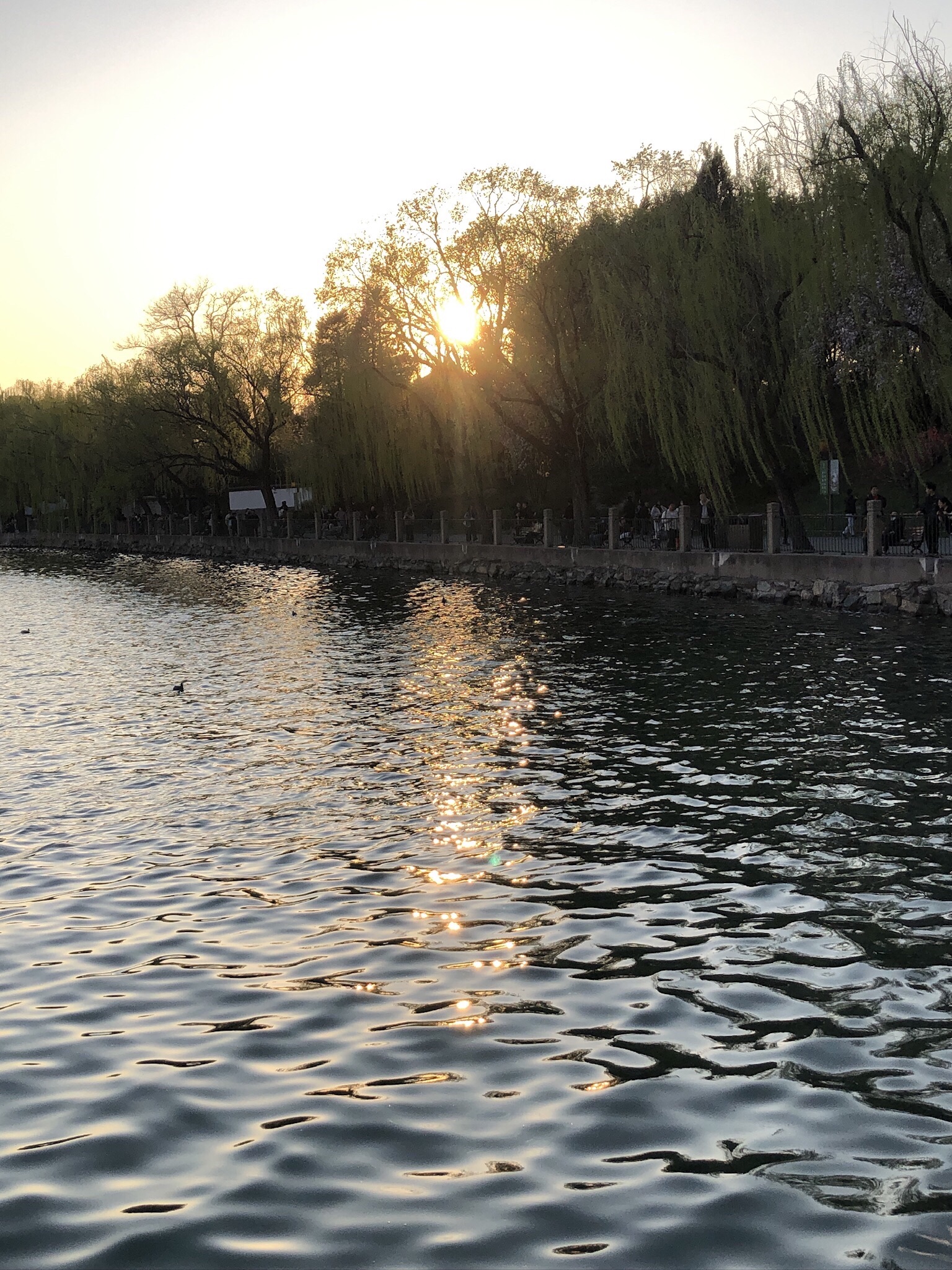 北海公园旅行图片 3