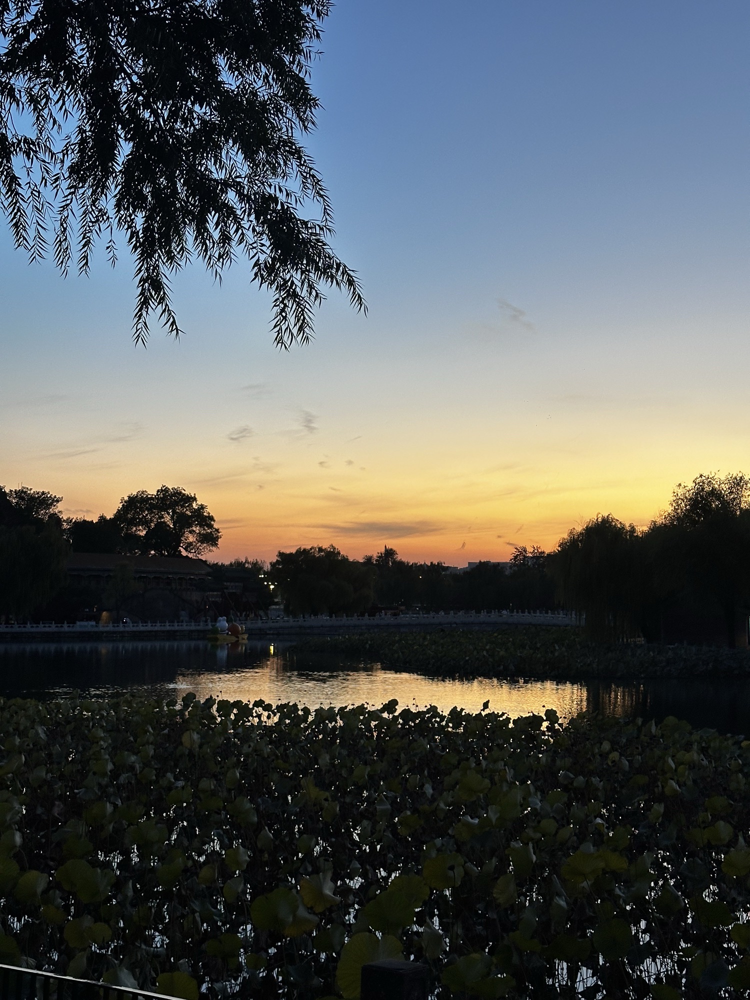 北海公园旅行图片 2