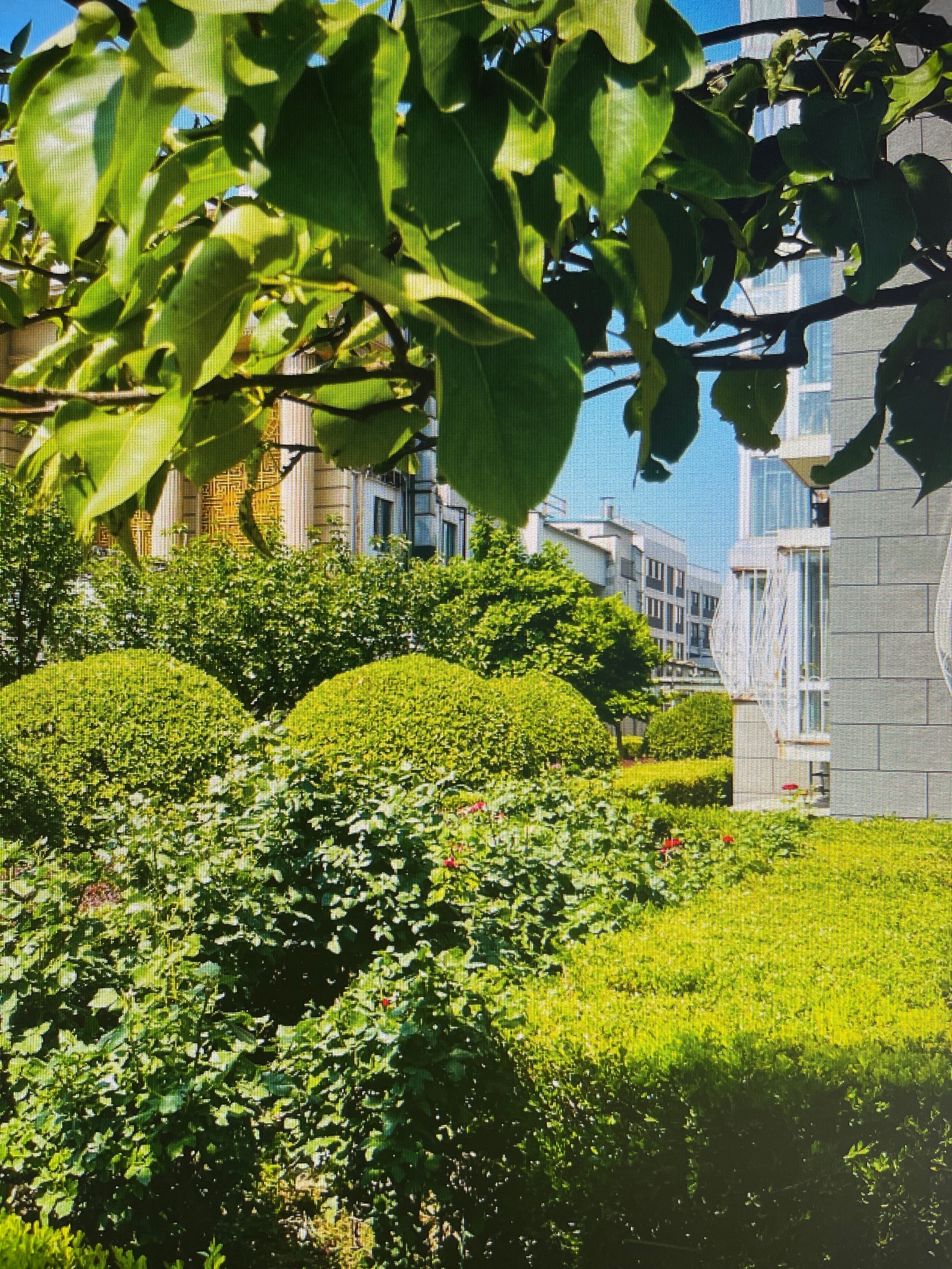 丰管路56号院