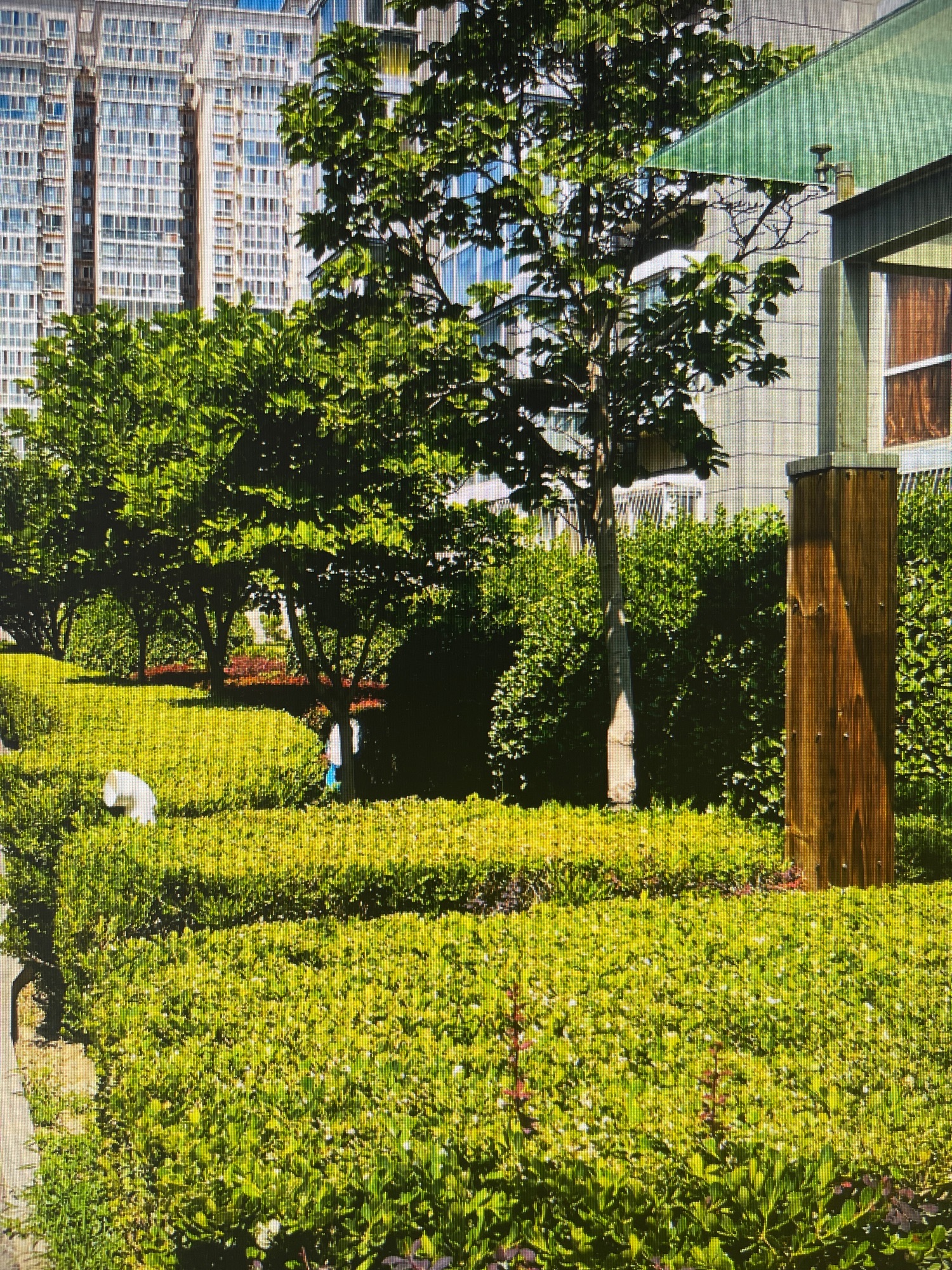 丰管路56号院