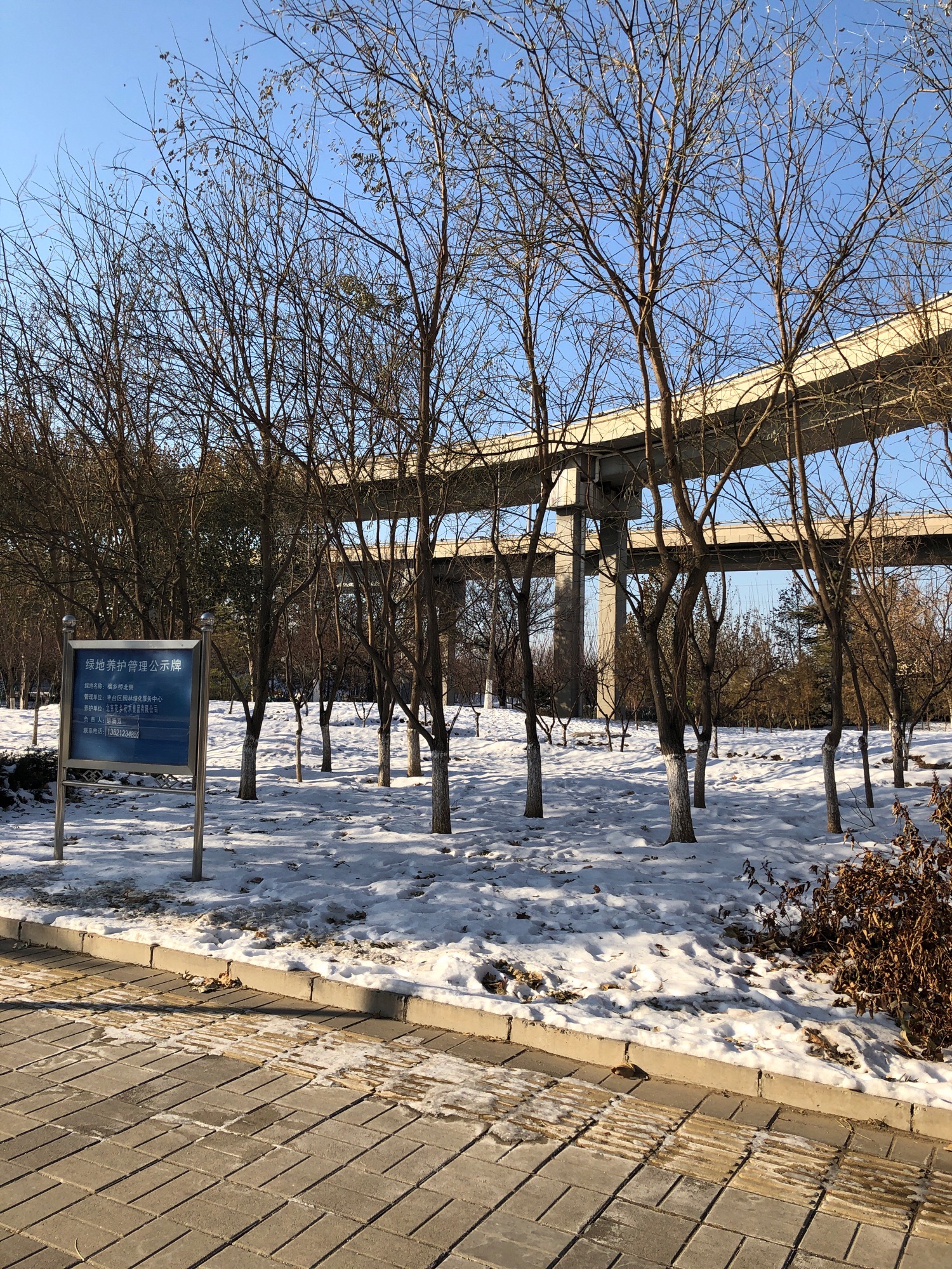 石榴庄公园旅行图片 1