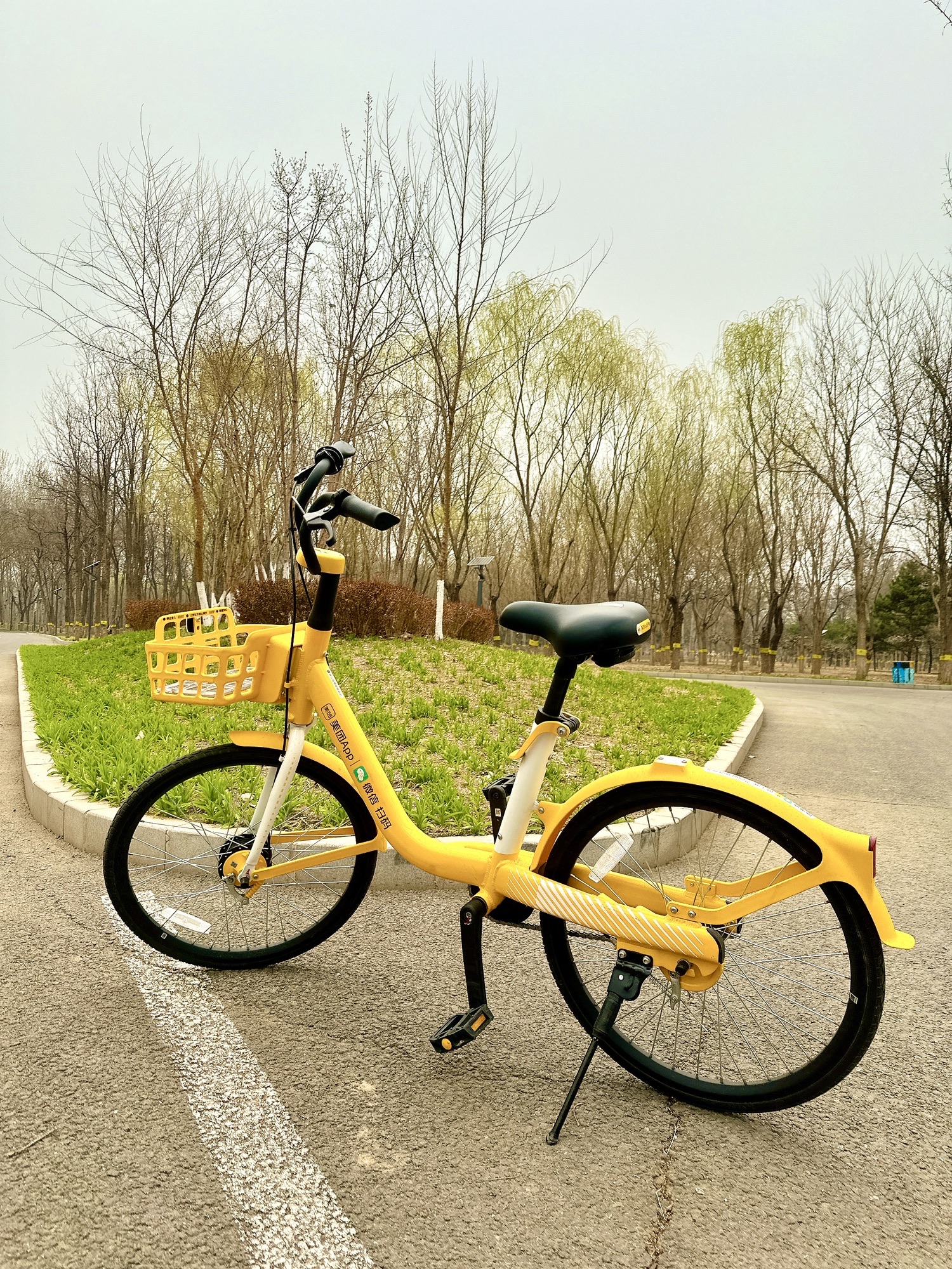 东坝公园旅行图片 2