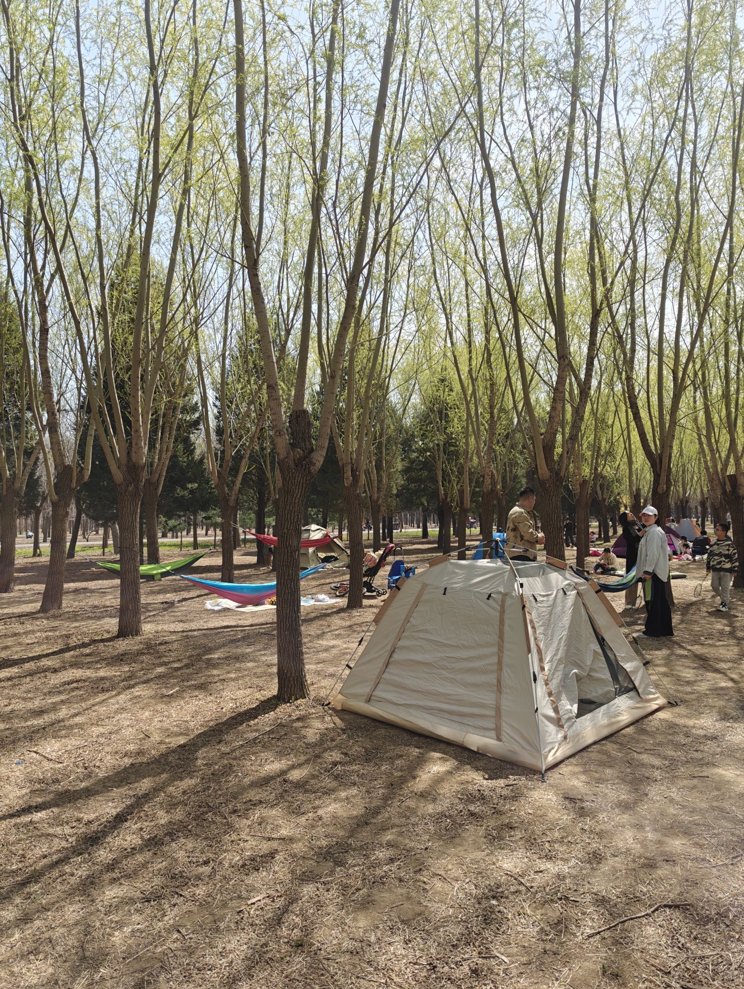 东坝公园旅行图片 3