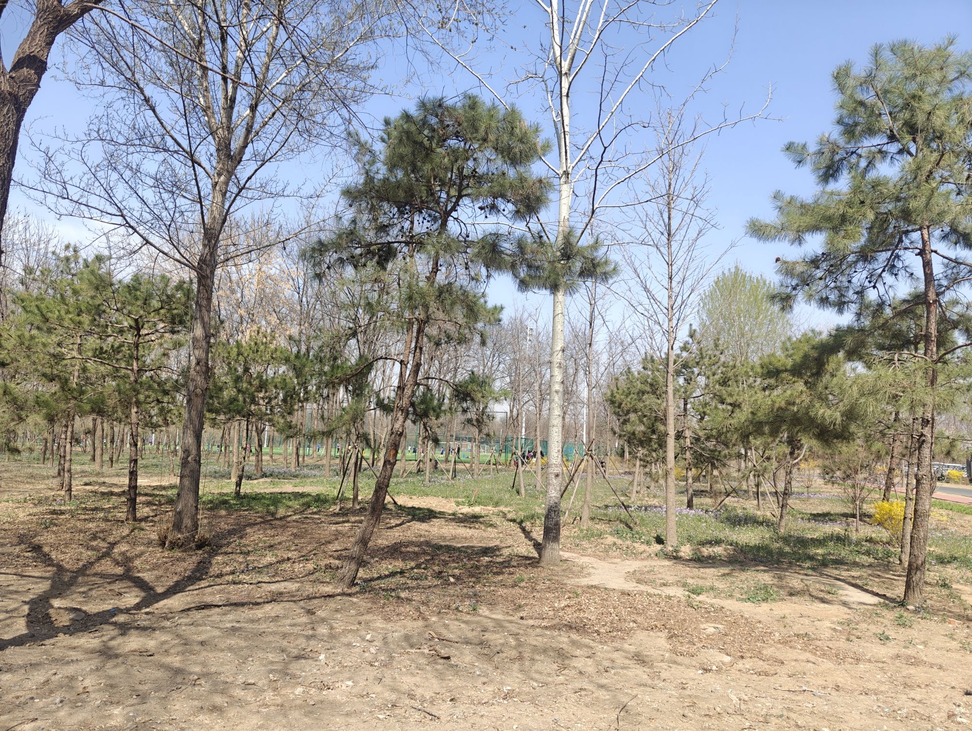 东坝公园旅行图片 2