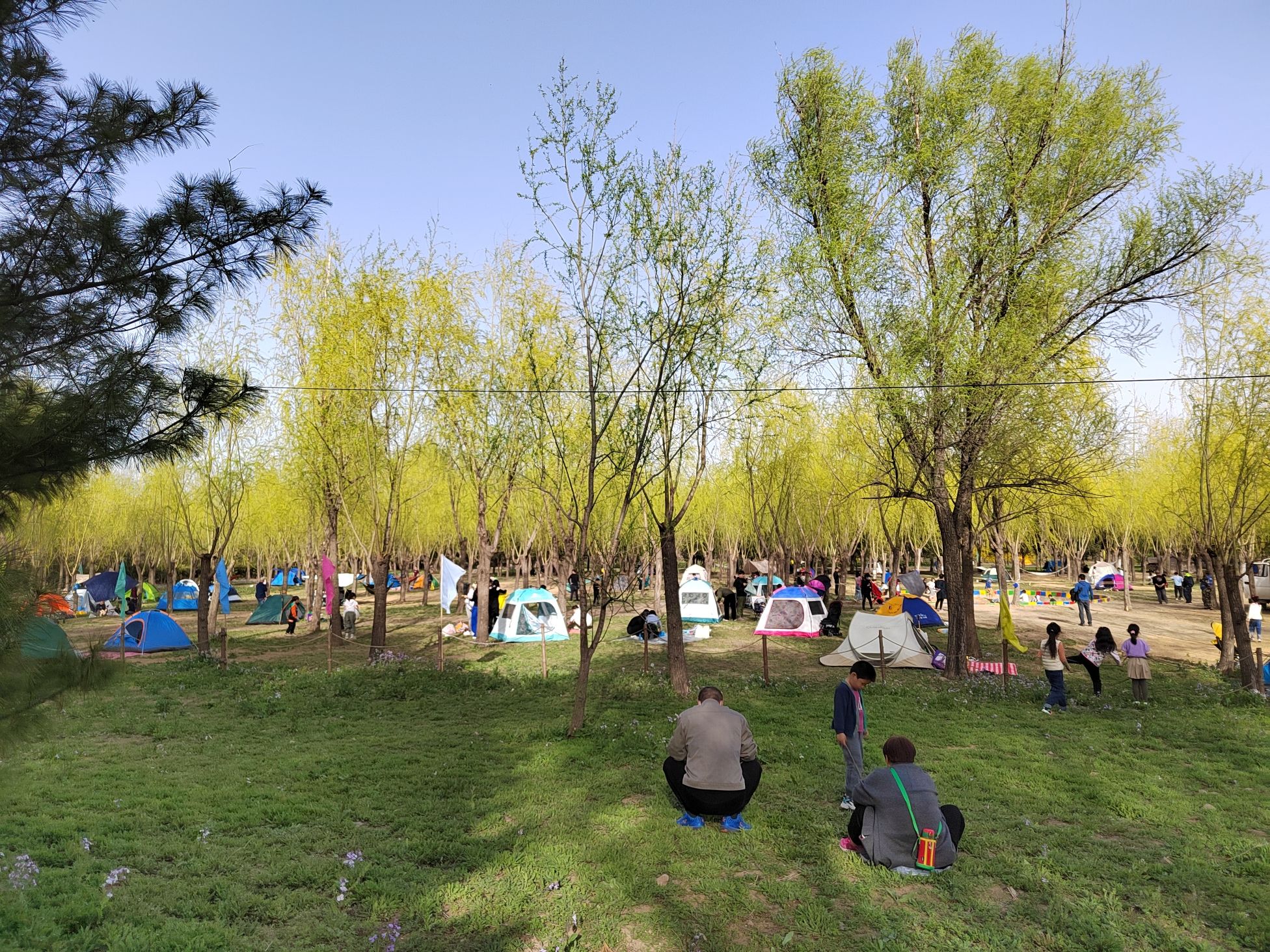 东坝公园旅行图片 1