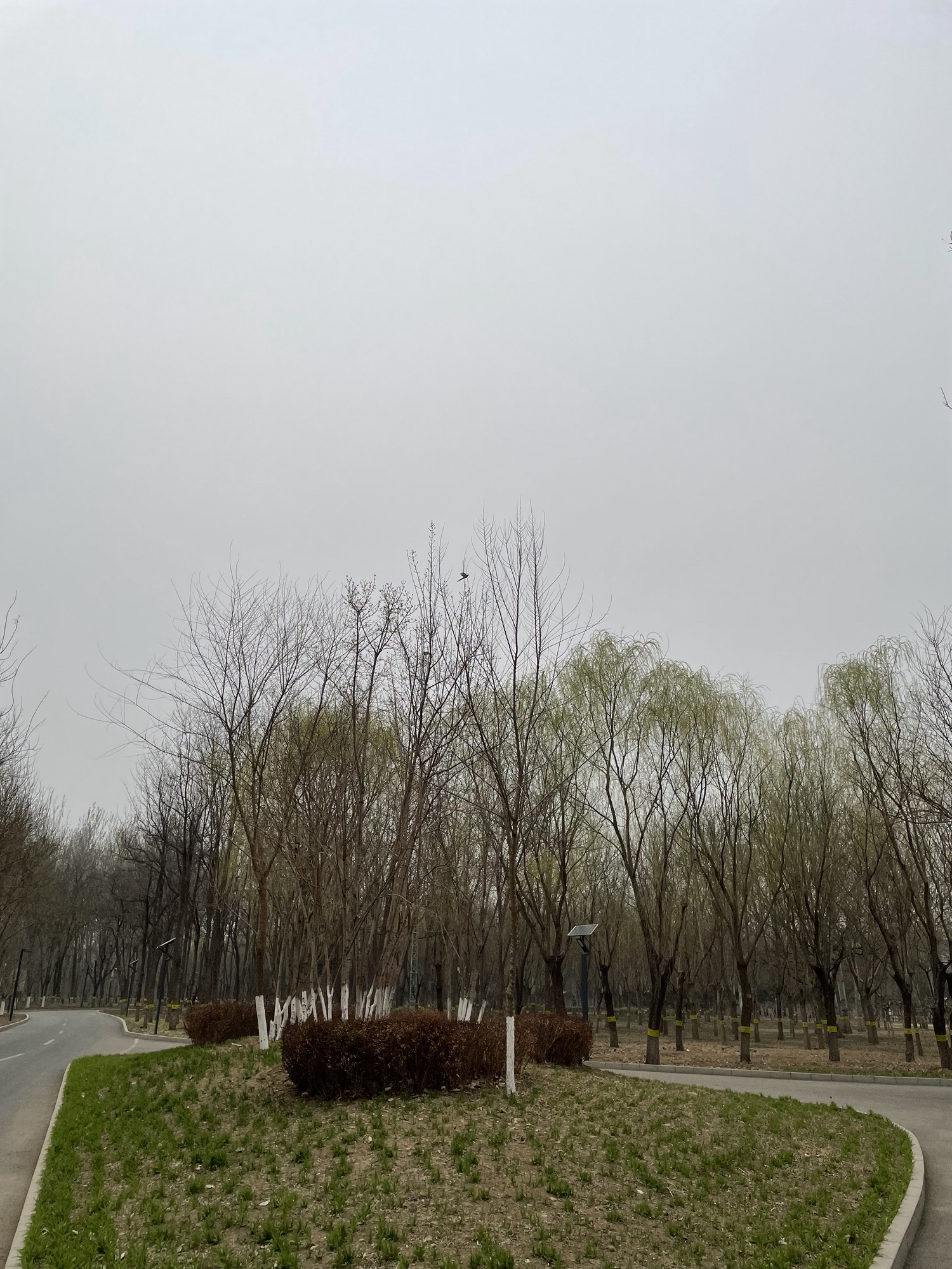 东坝公园旅行图片 2