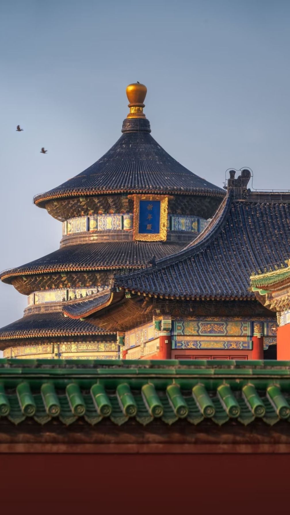 天坛公园旅行图片 1