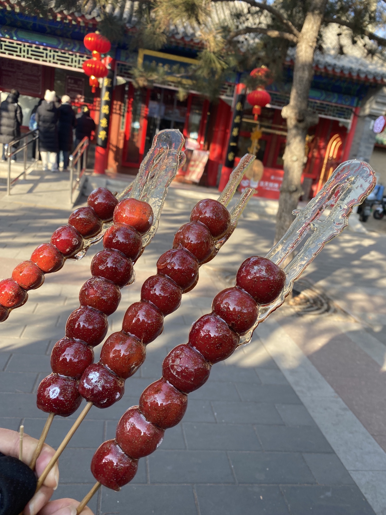 地坛公园旅行图片 3