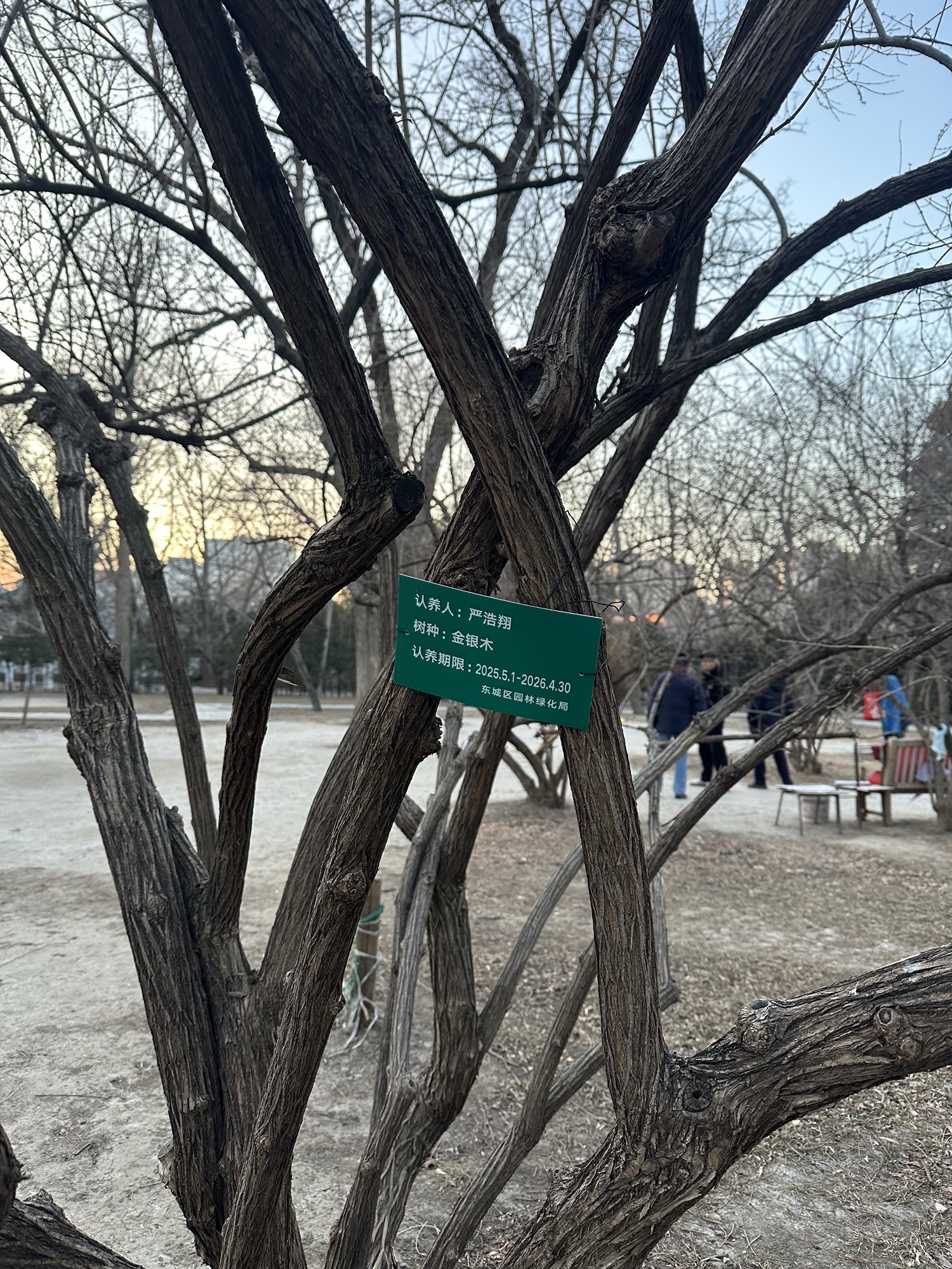 地坛公园旅行图片 1