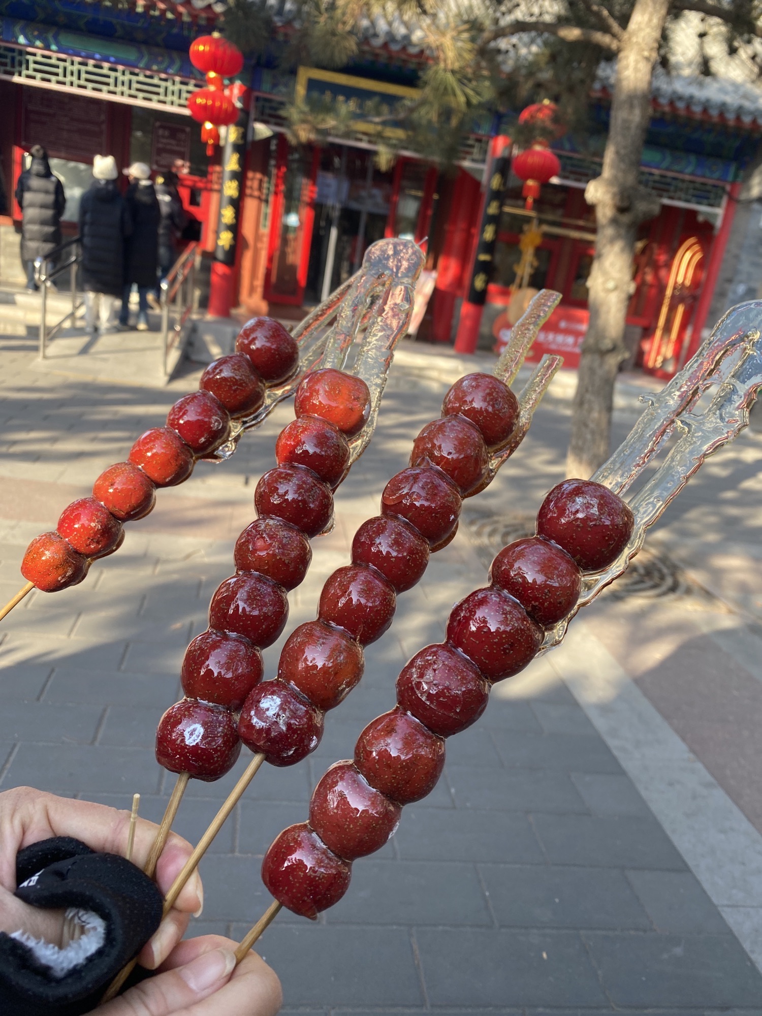 地坛公园旅行图片 1