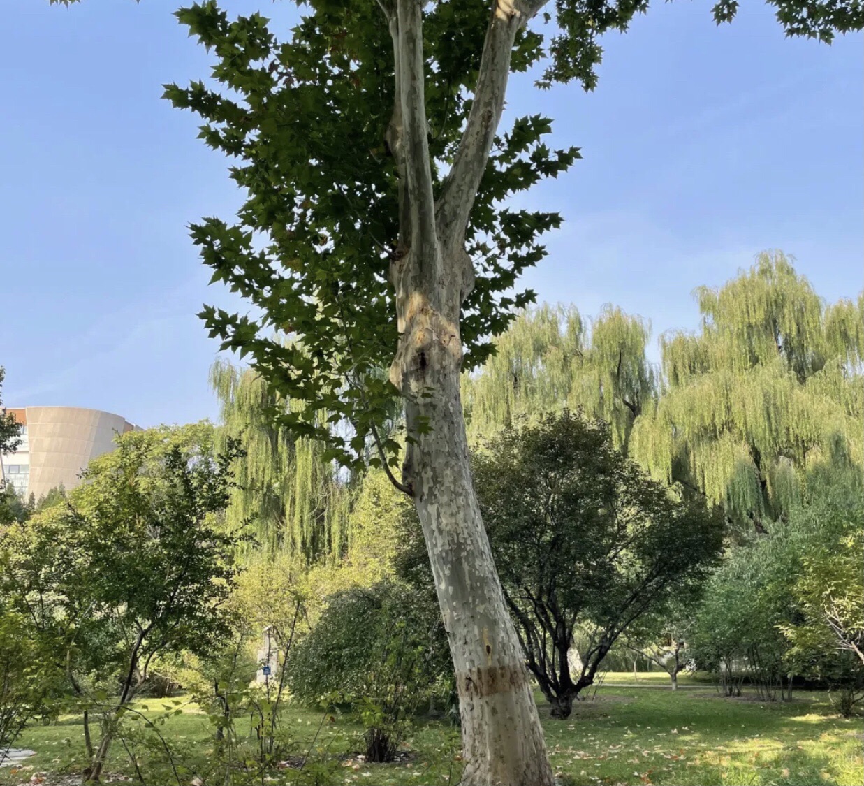 教学植物园旅行图片 1