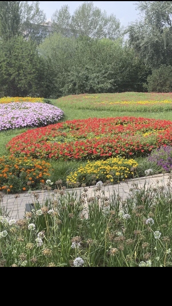 教学植物园旅行图片 3
