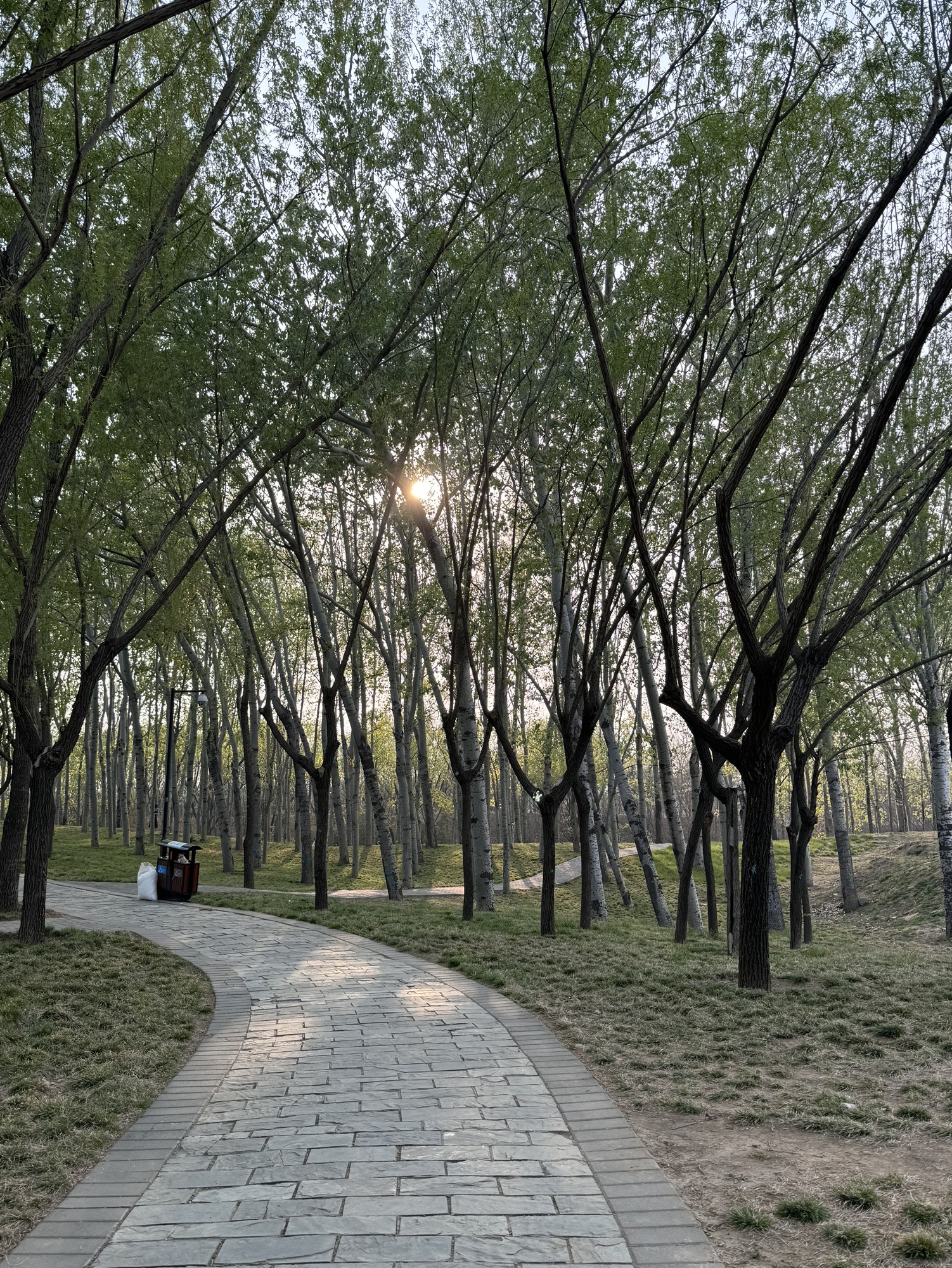 北小河公园旅行图片 2