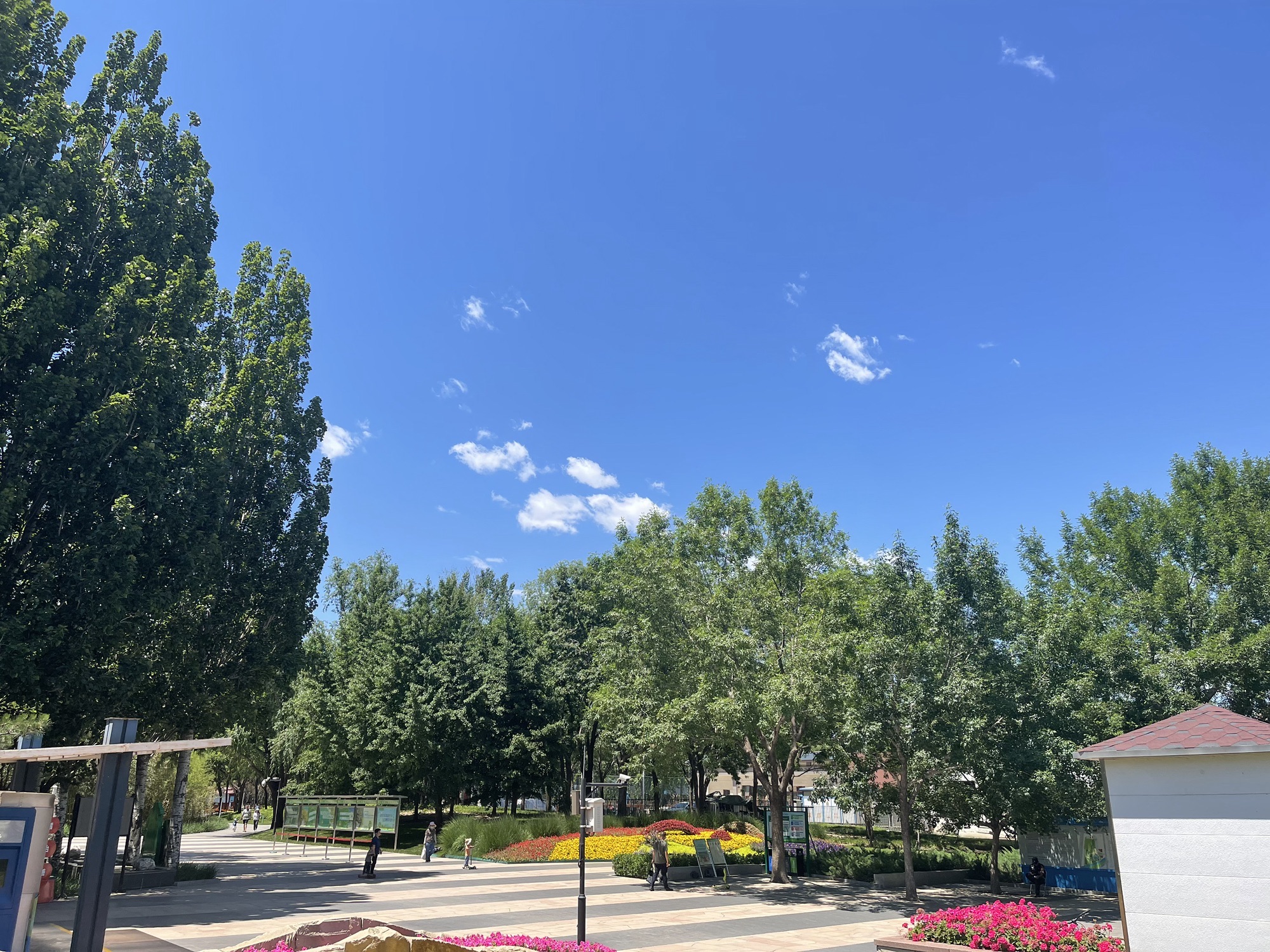 北小河公园旅行图片 3
