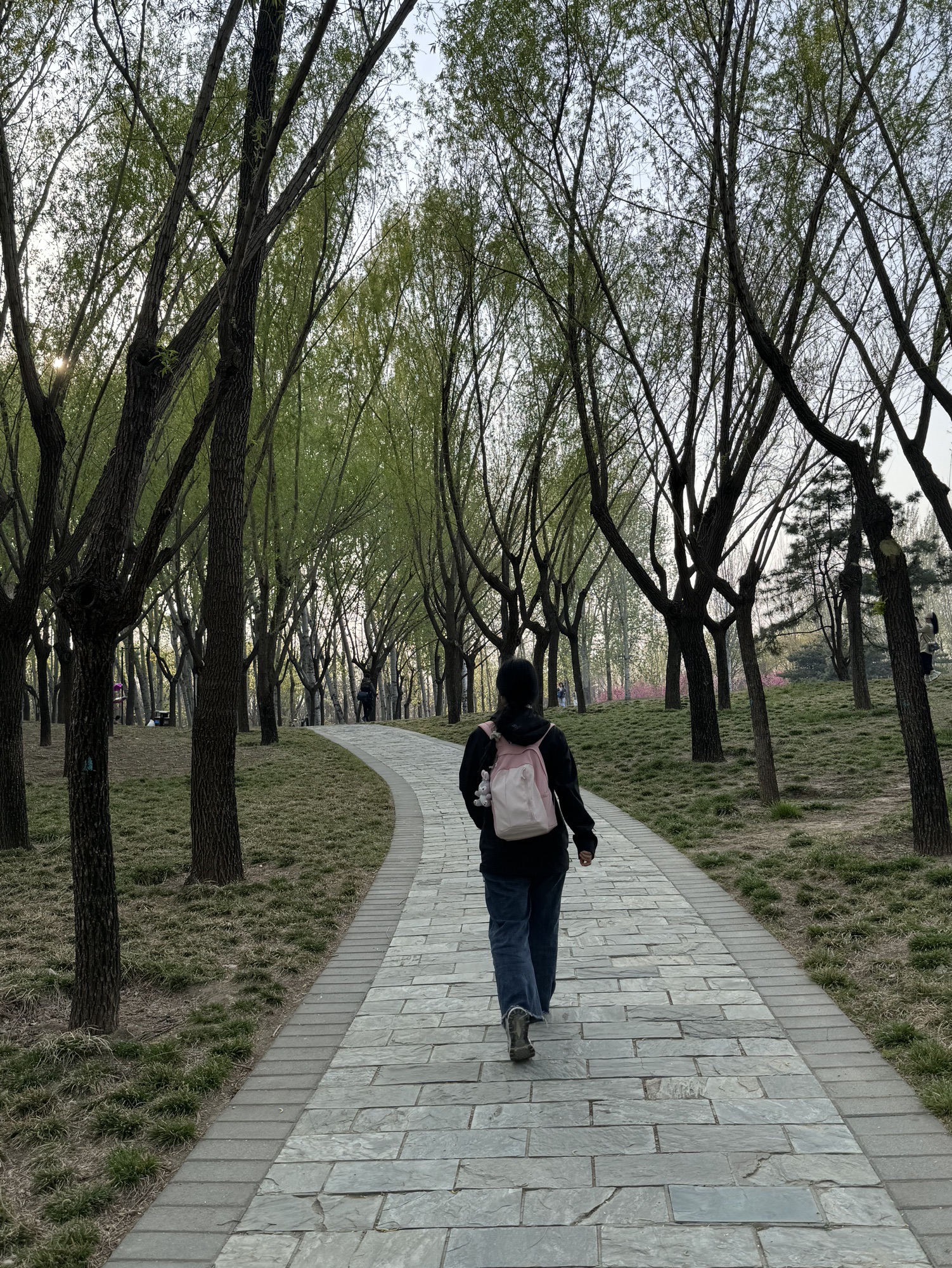 北小河公园旅行图片 1