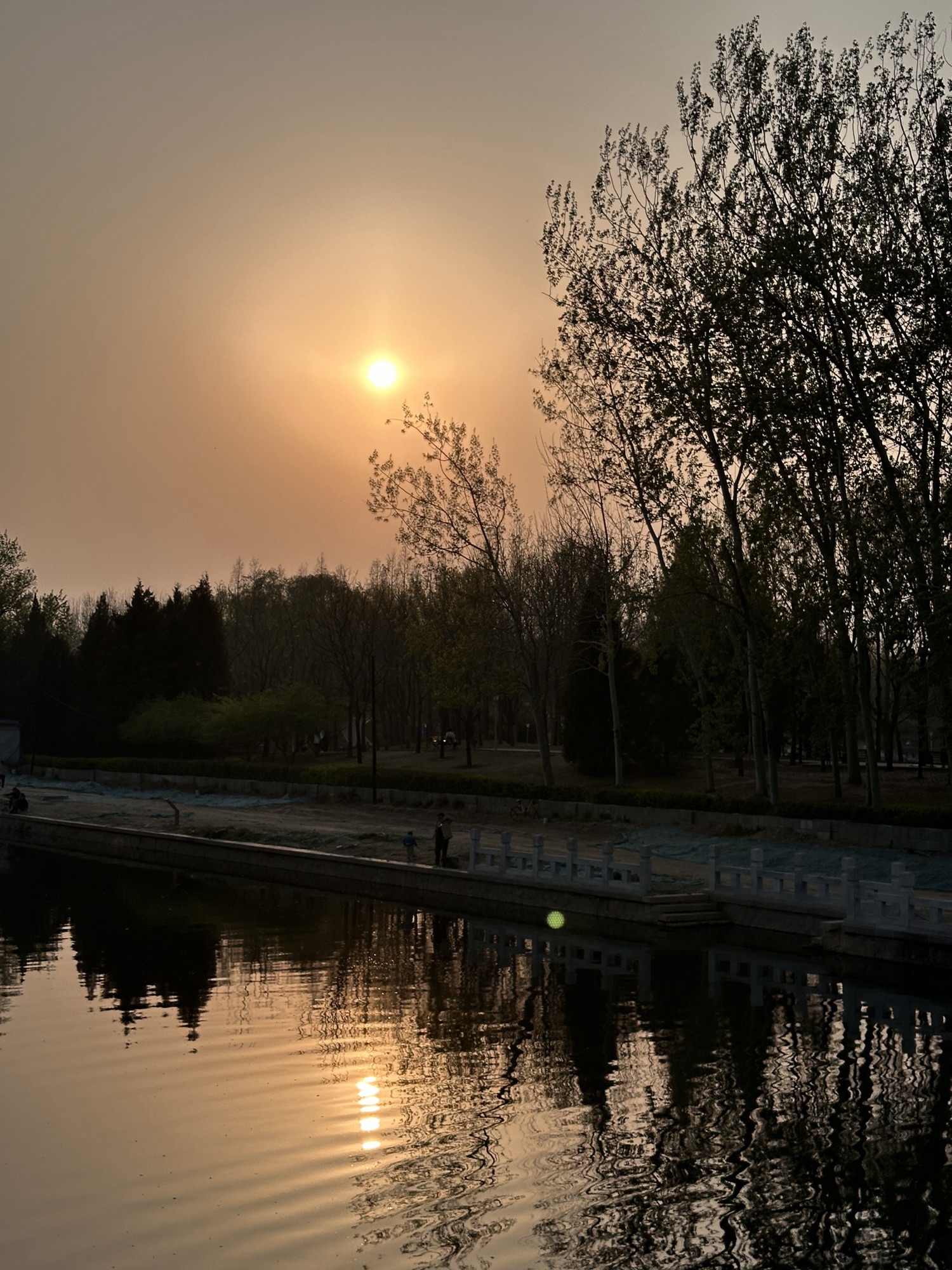 北小河公园旅行图片 3
