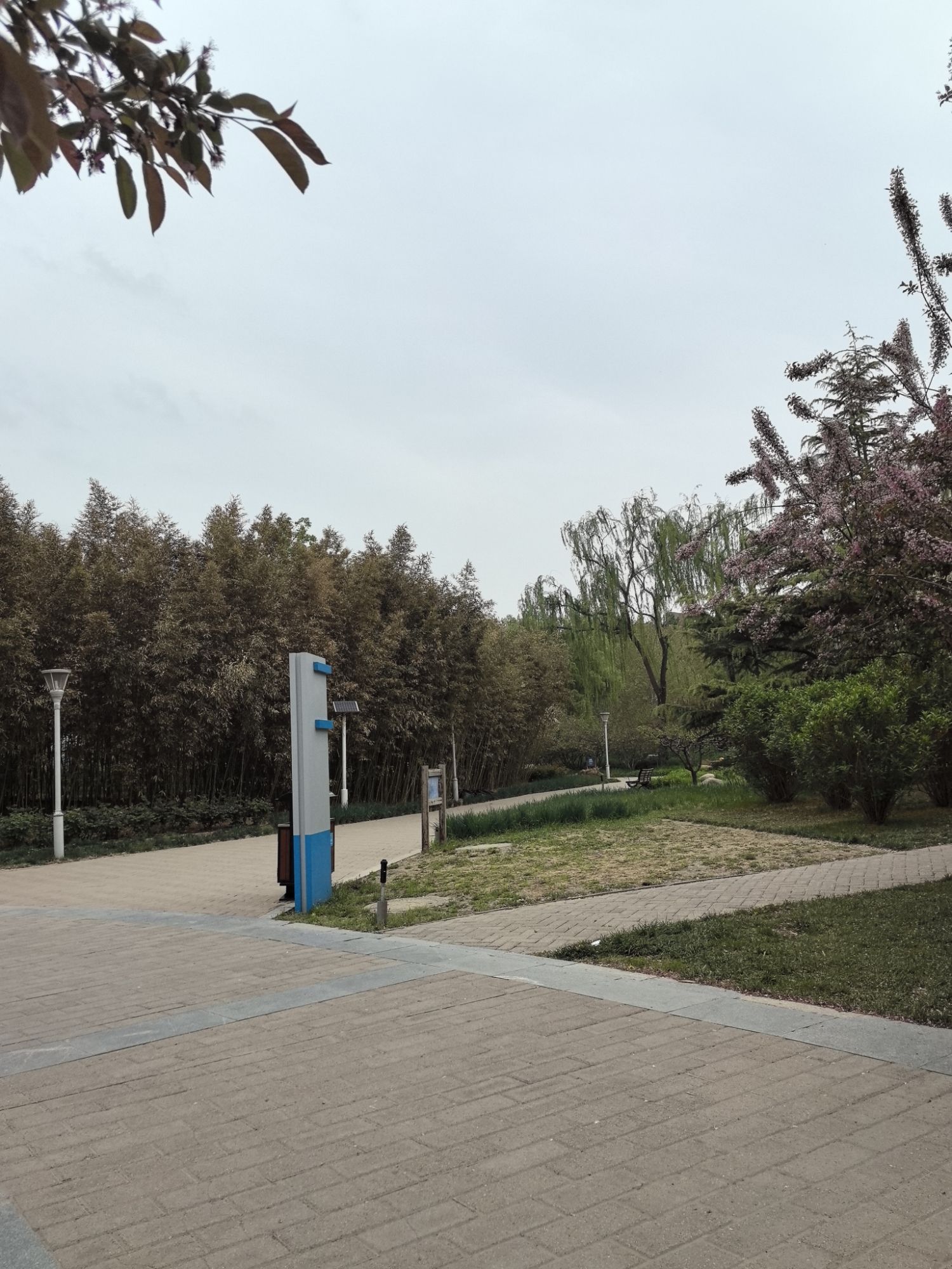 北小河公园旅行图片 3