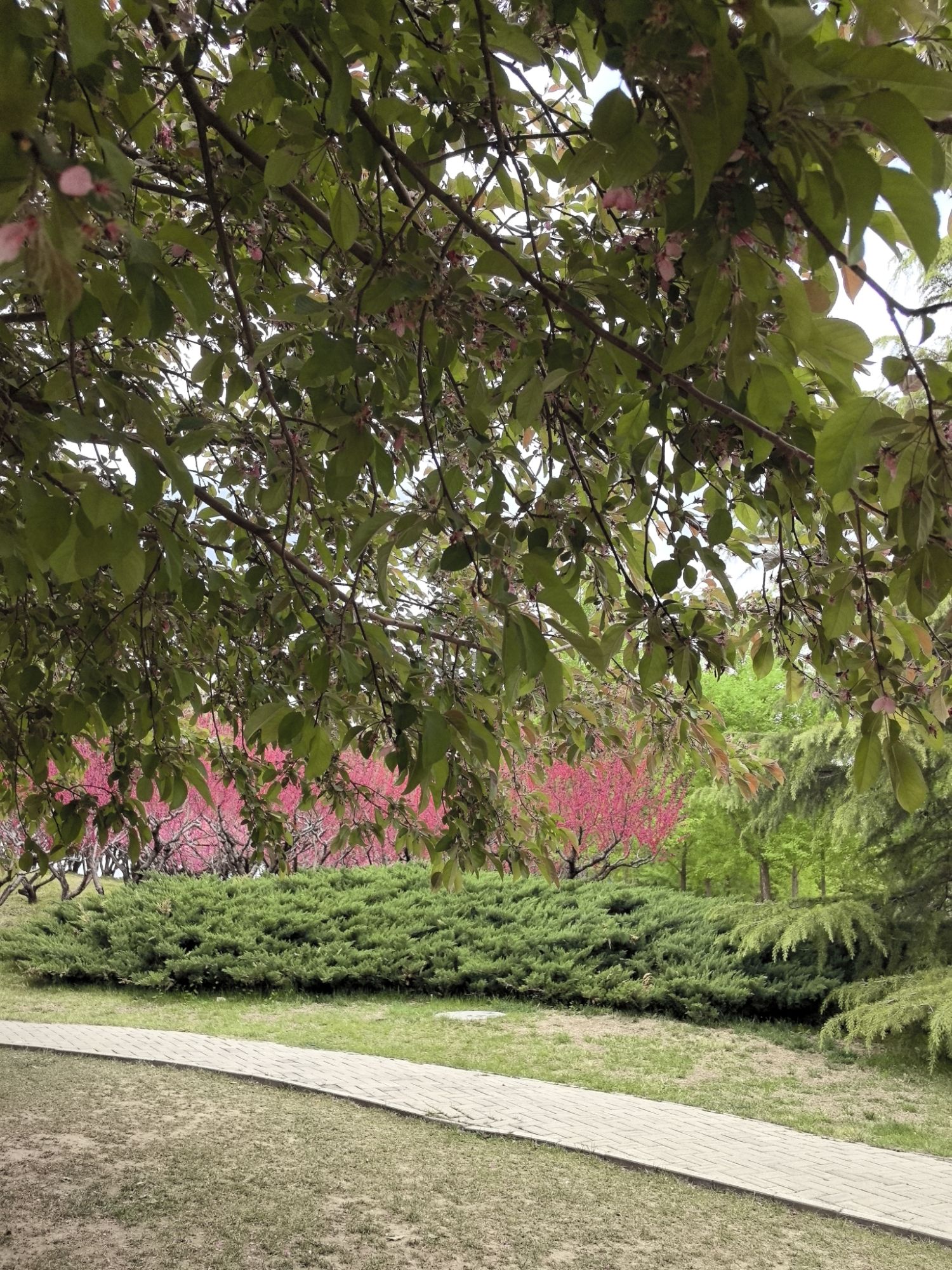 北小河公园旅行图片 2