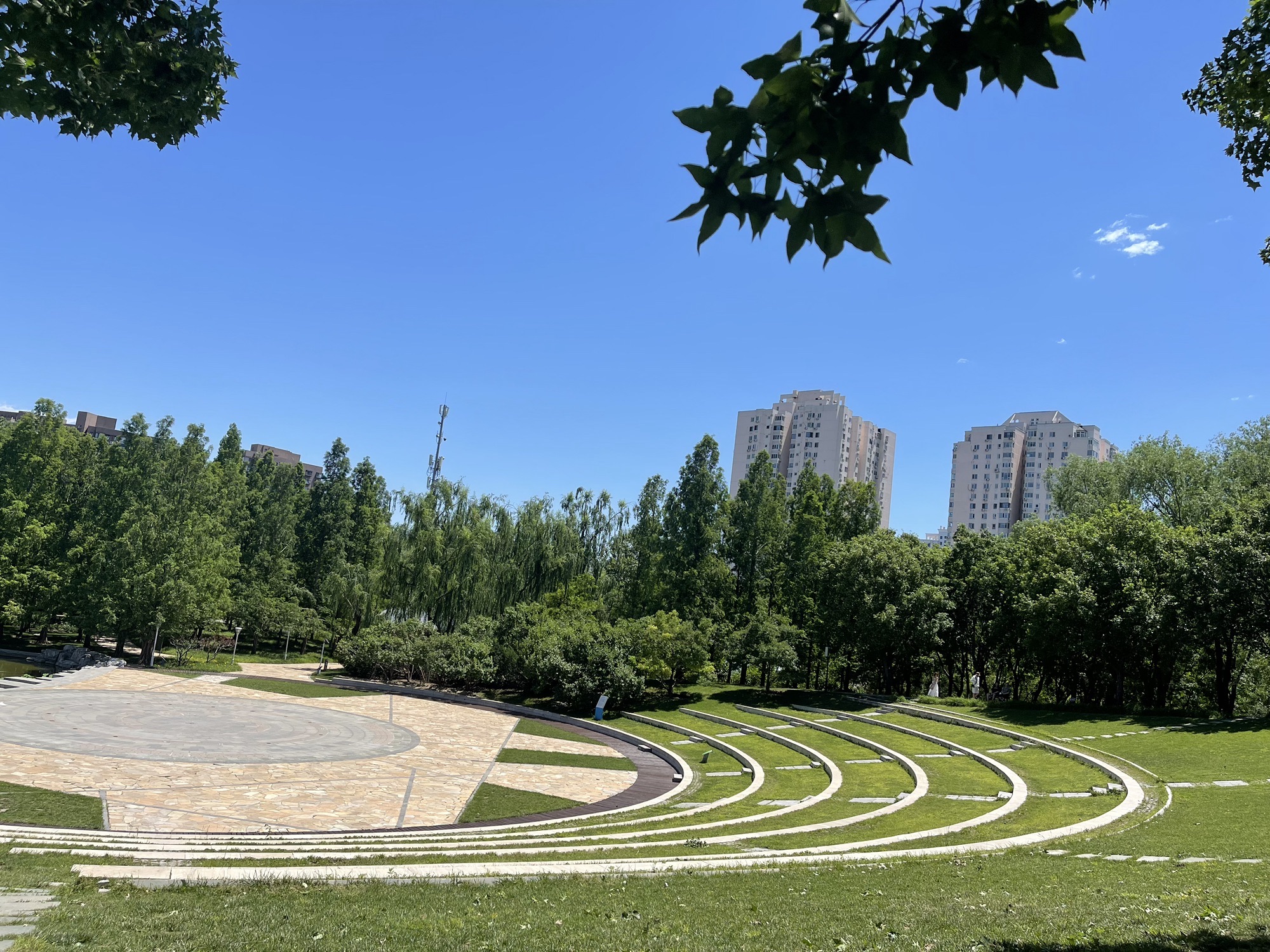 北小河公园旅行图片 2