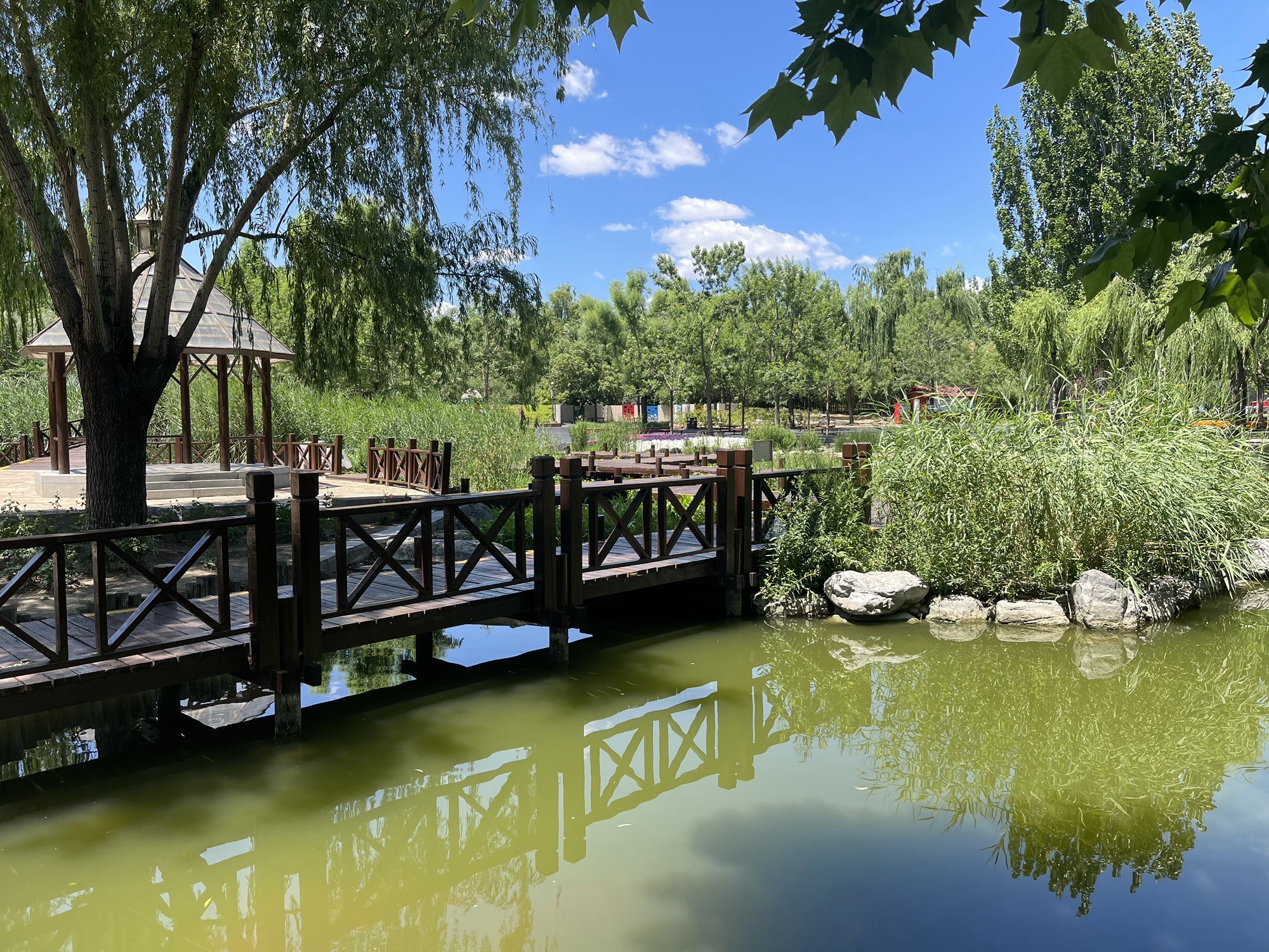 北小河公园旅行图片 1
