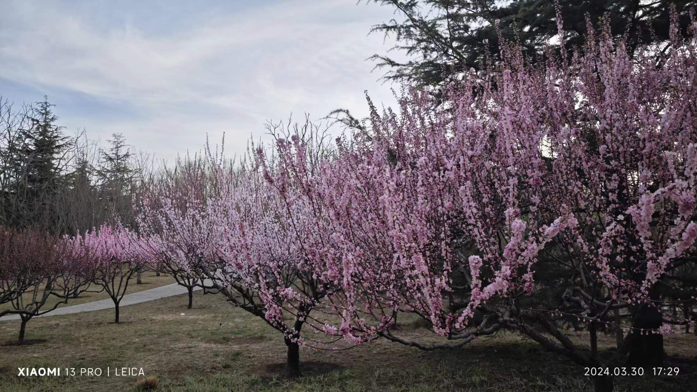 北小河公园旅行图片 1