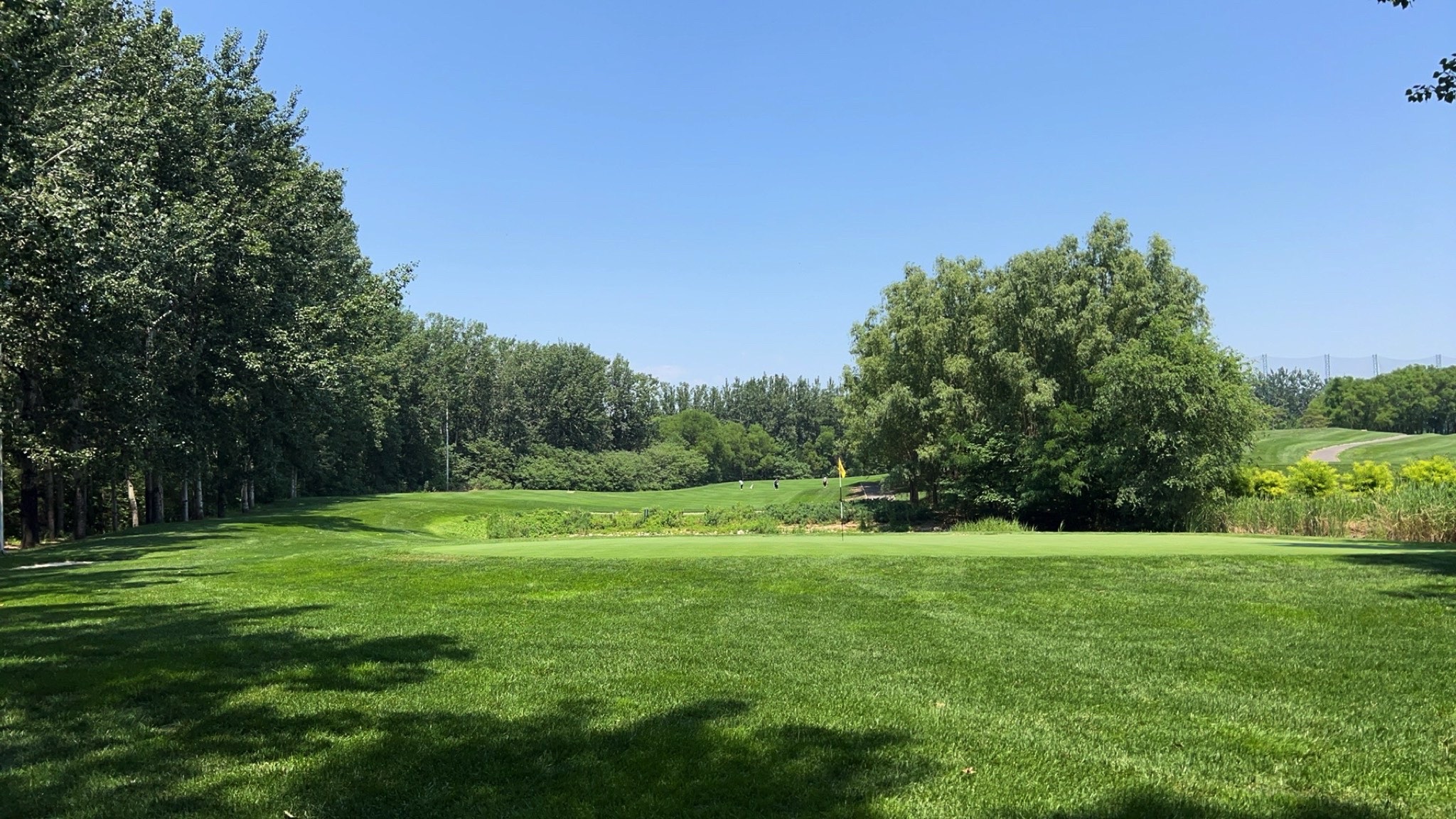 场地封面-鸿华高尔夫练习场