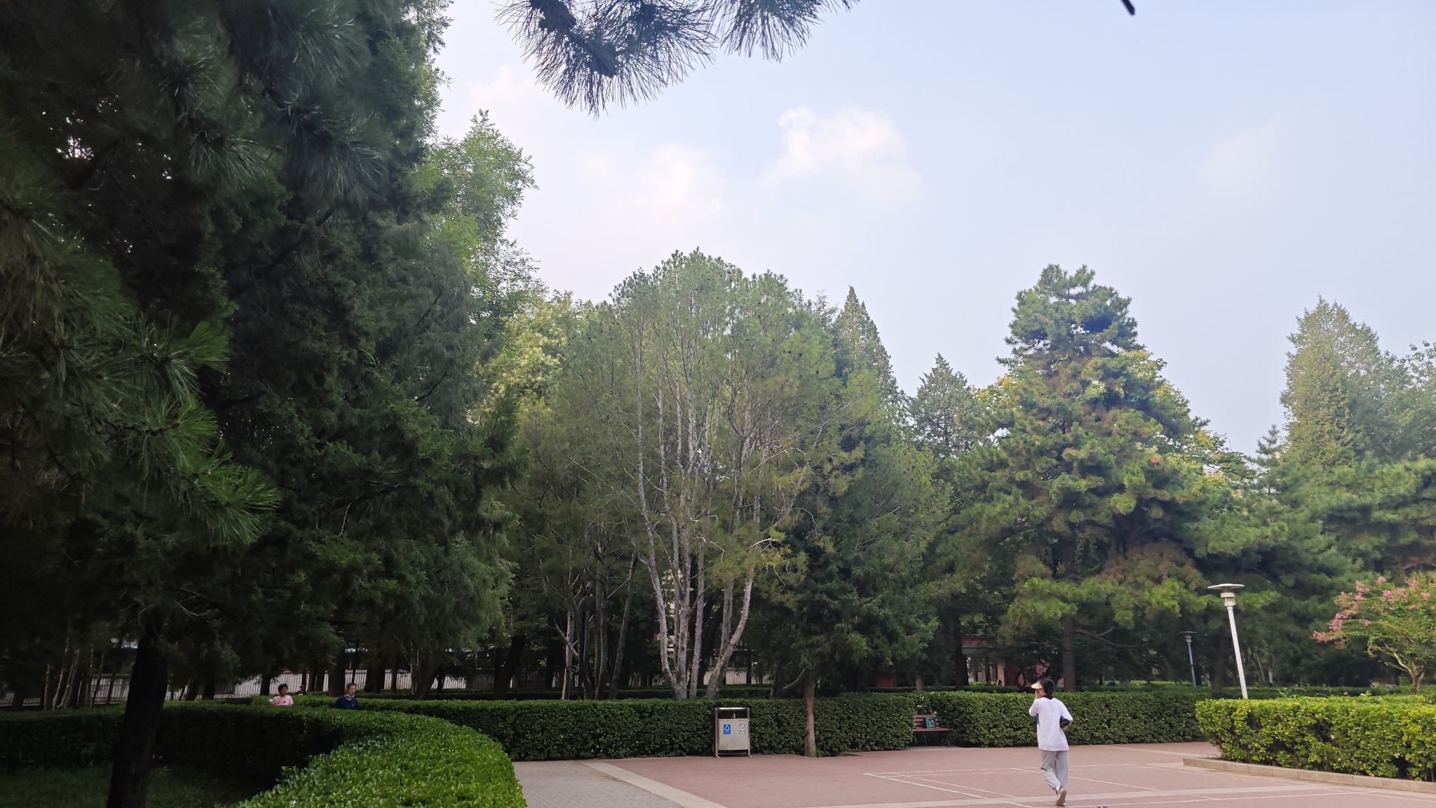 会城门公园旅行图片 2
