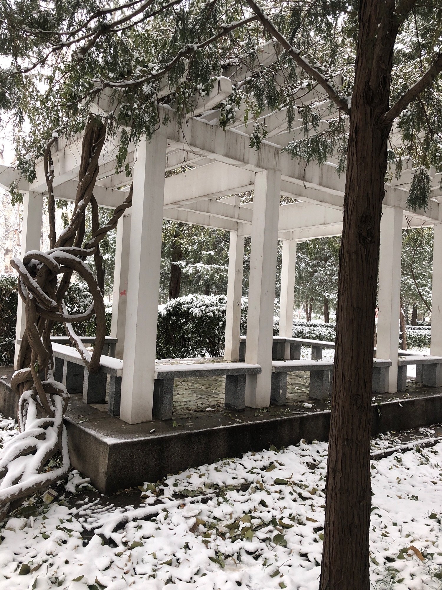 会城门公园旅行图片 2