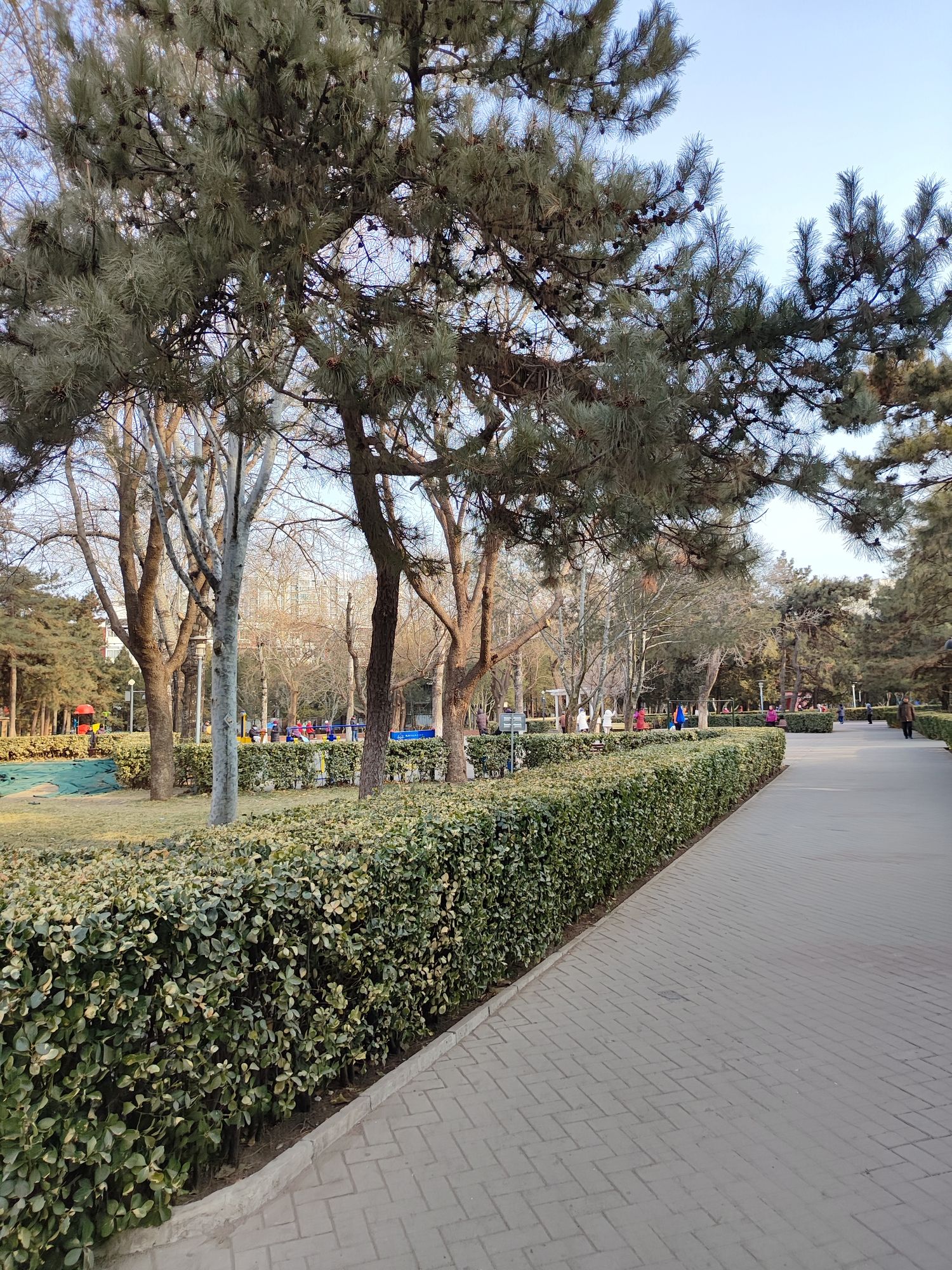 会城门公园旅行图片 2