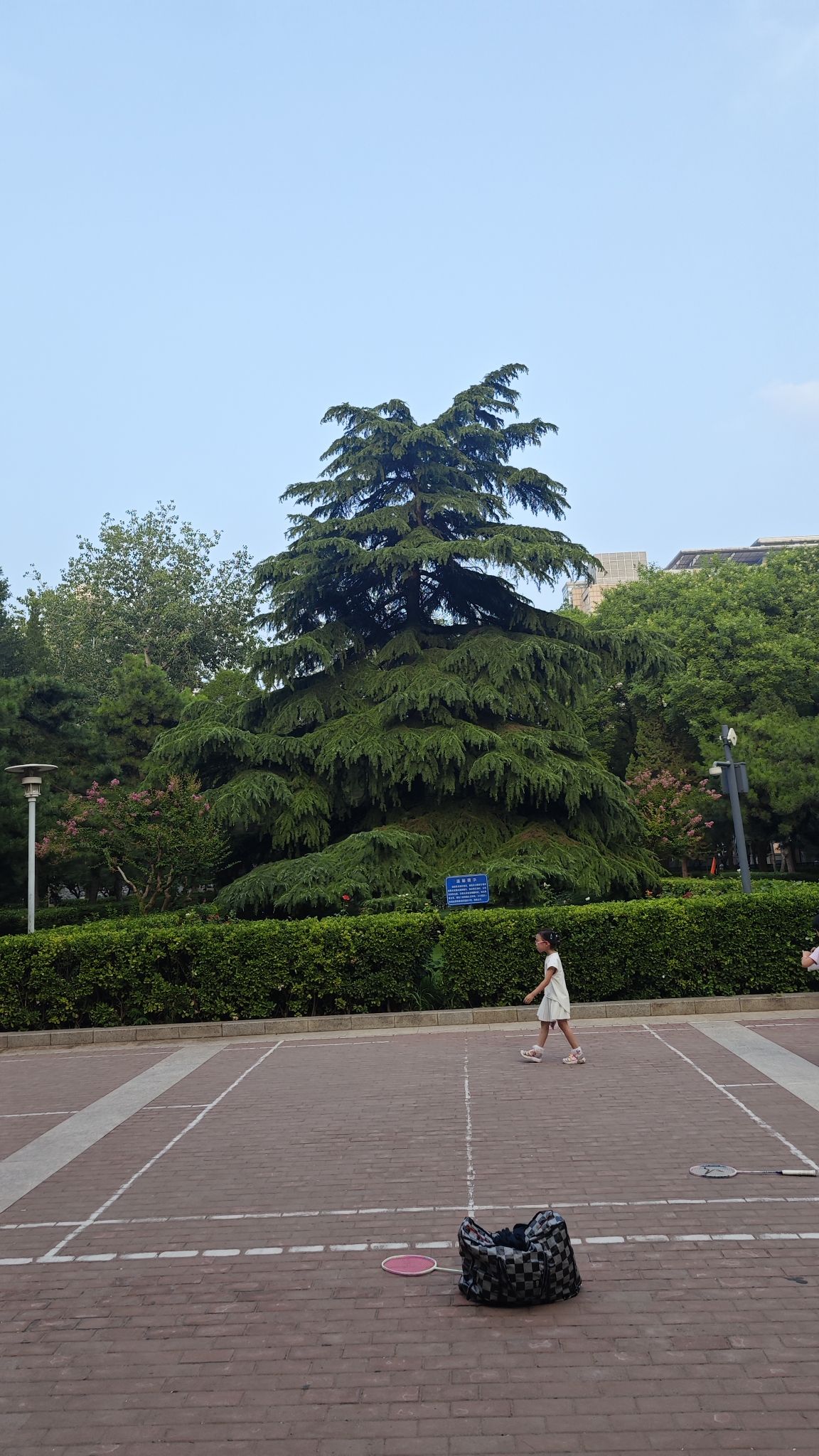 会城门公园旅行图片 3