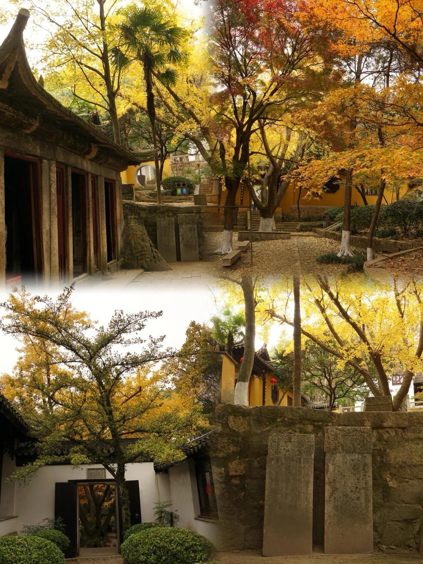 天池山风景区旅行图片 1