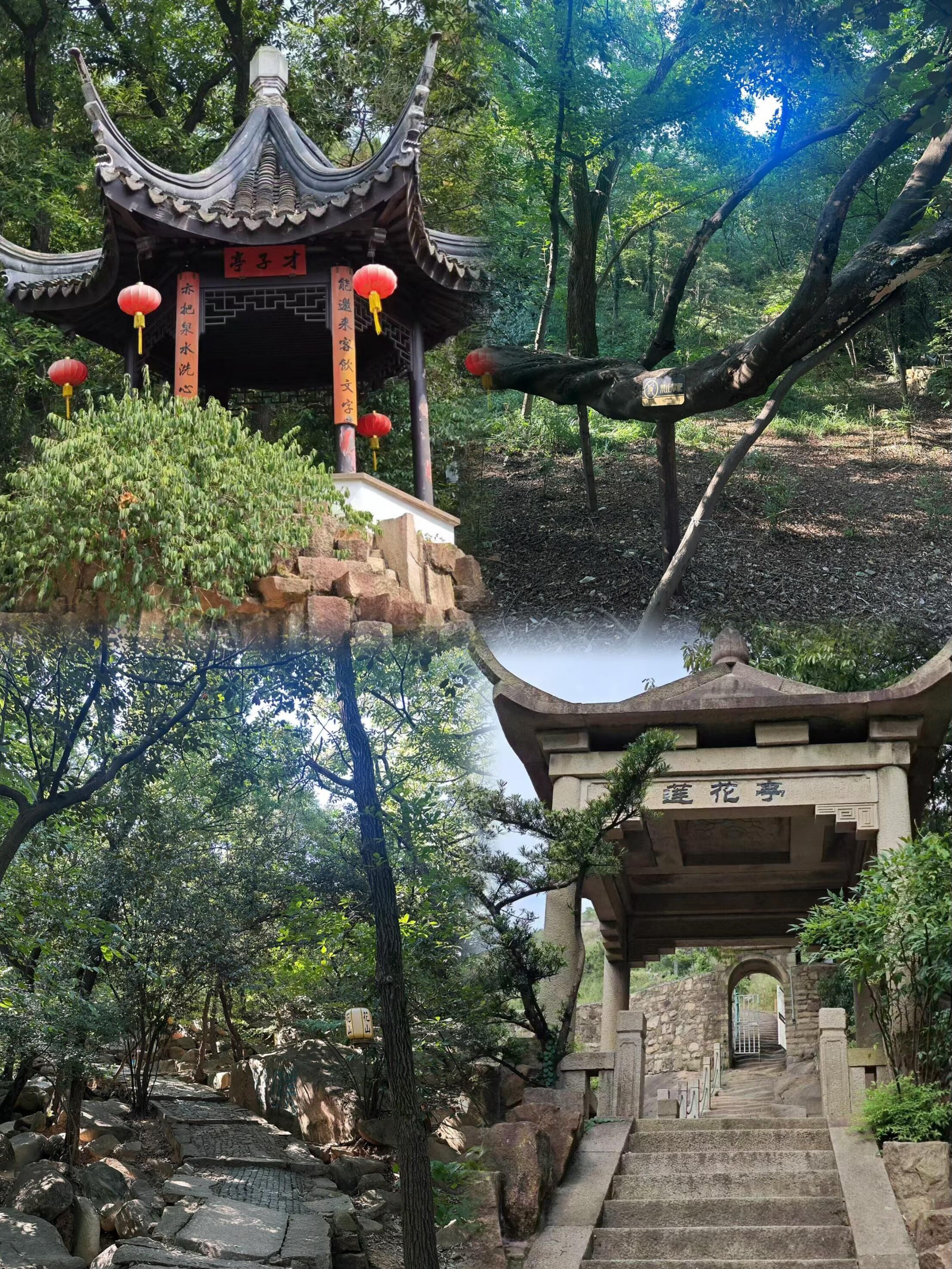 天池山风景区旅行图片 3