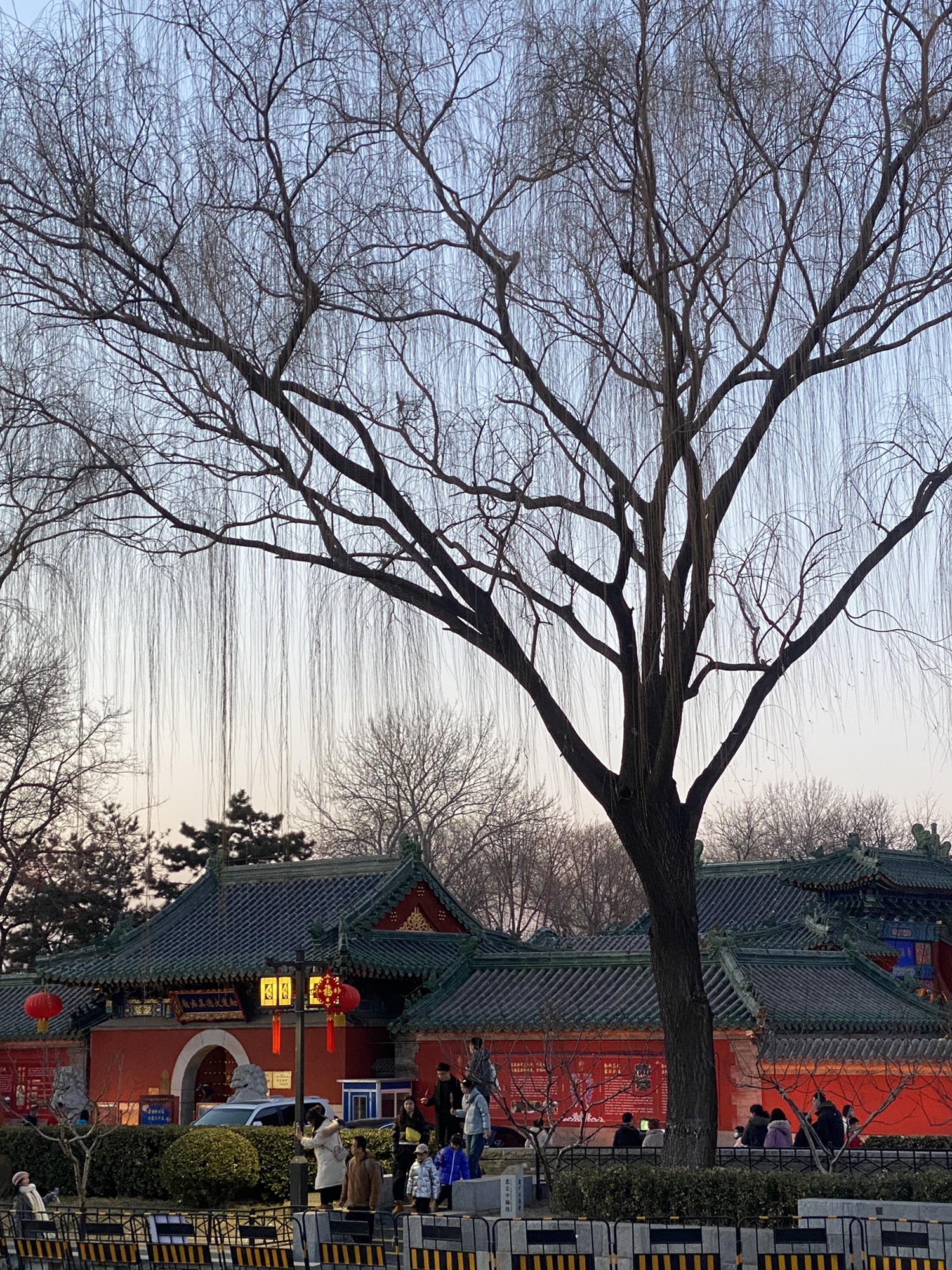 金锭桥旅行图片 2