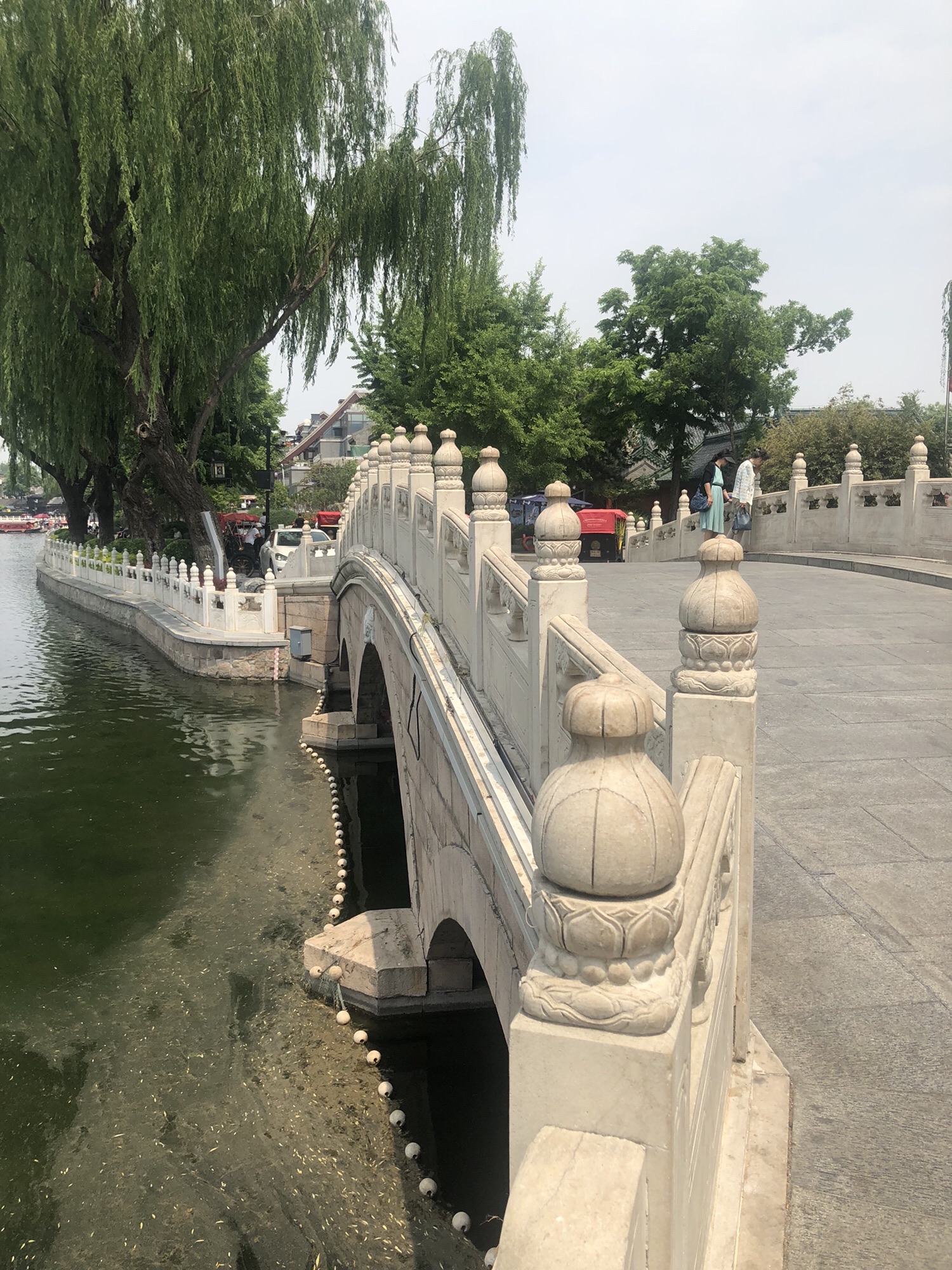 金锭桥旅行图片 3