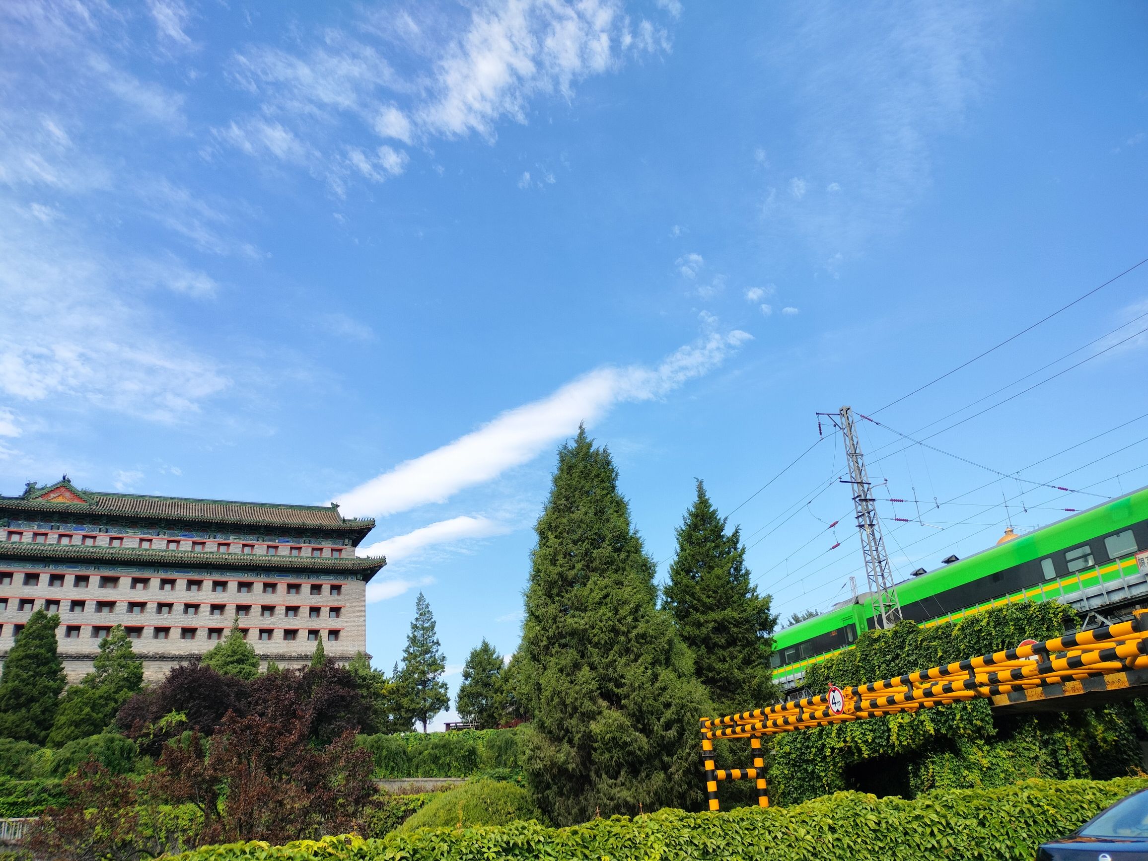 朝阳区