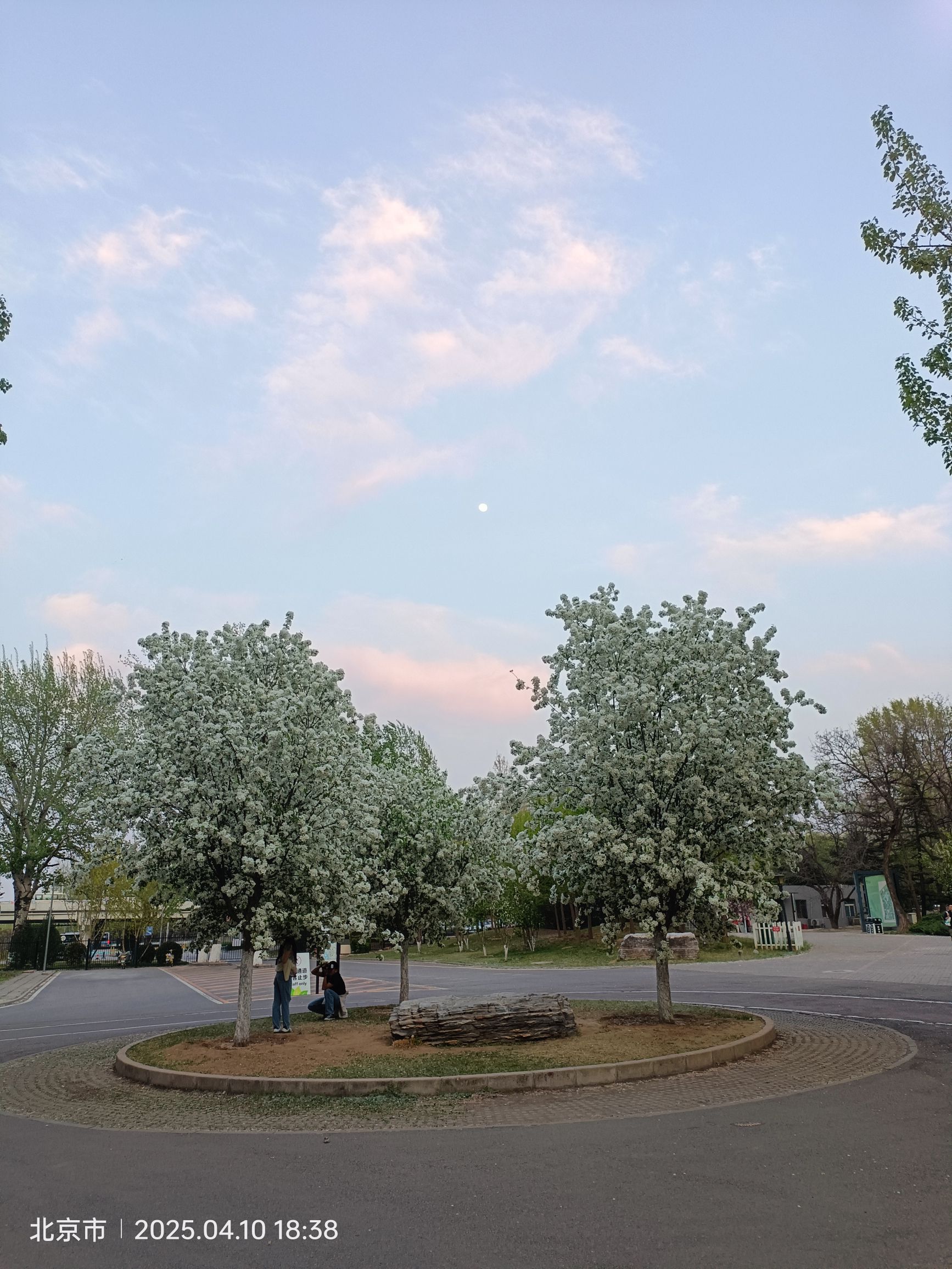 朝阳区