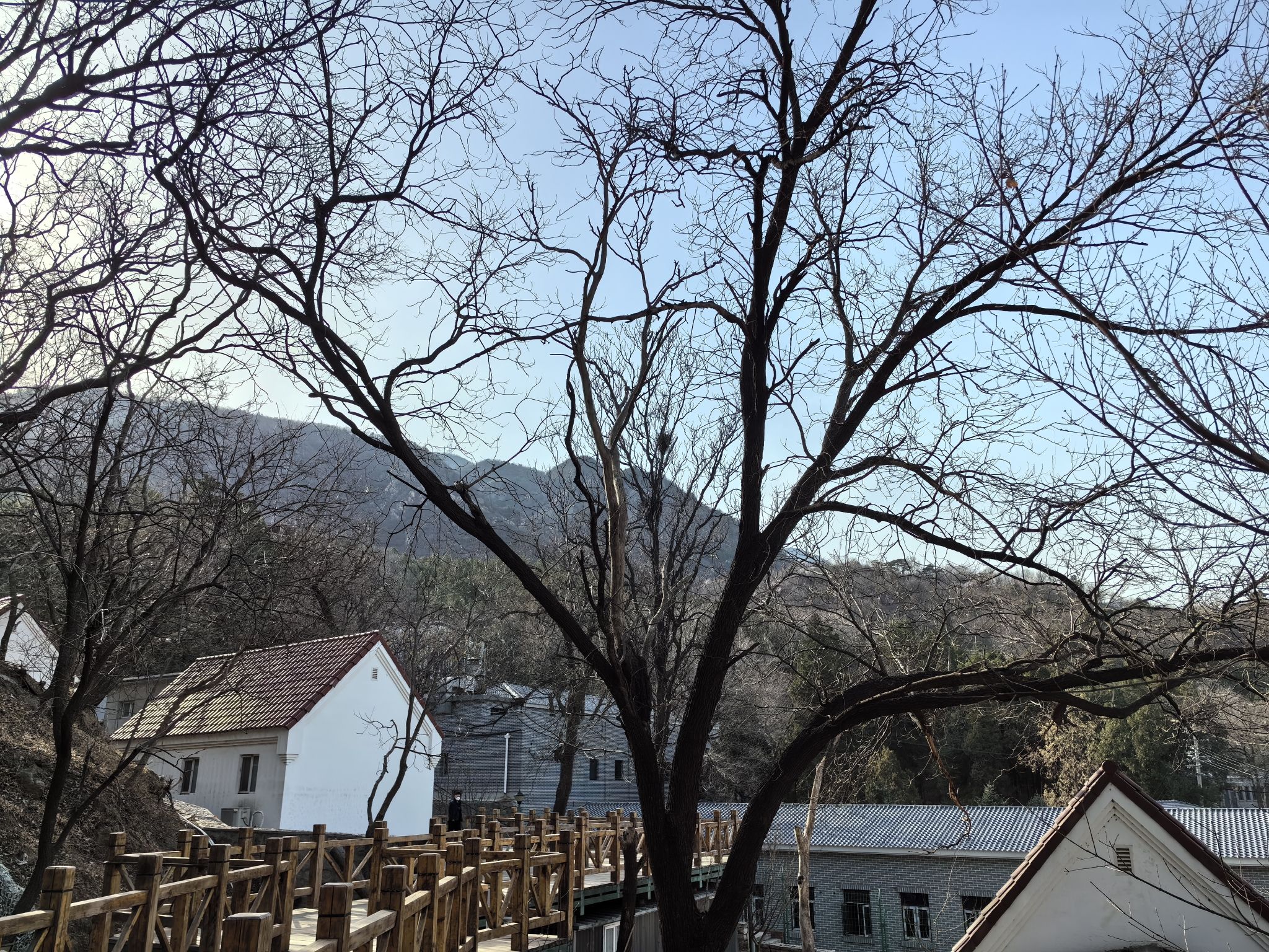贝家花园旅行图片 3