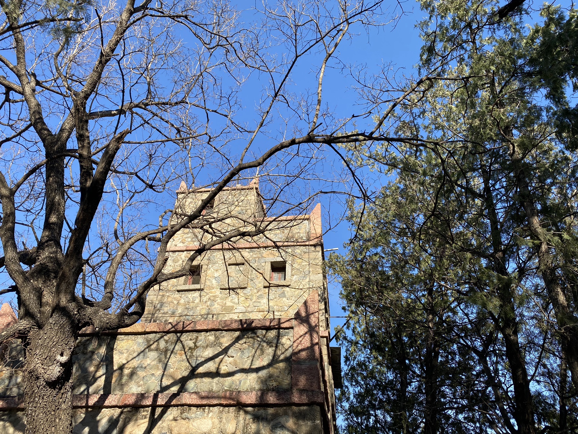贝家花园旅行图片 3