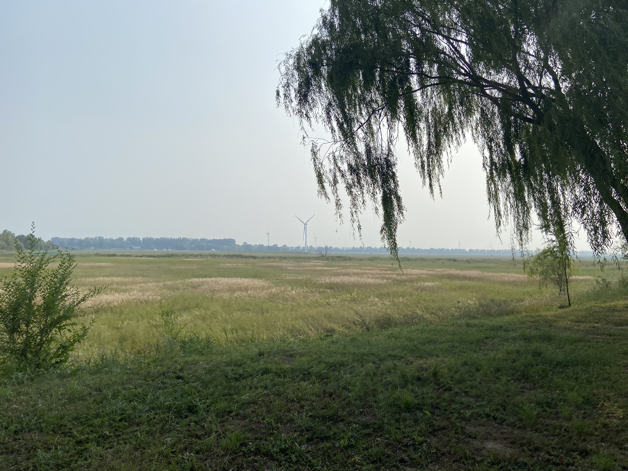 野鸭湖国家湿地公园旅行图片 1