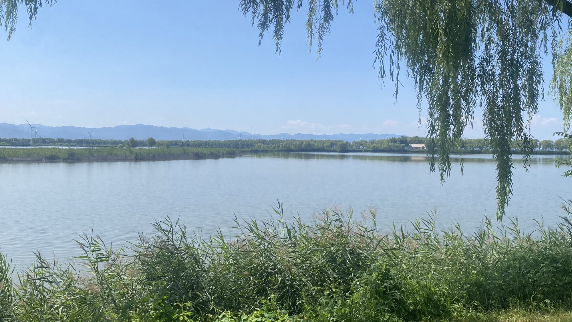 野鸭湖国家湿地公园旅行图片 3