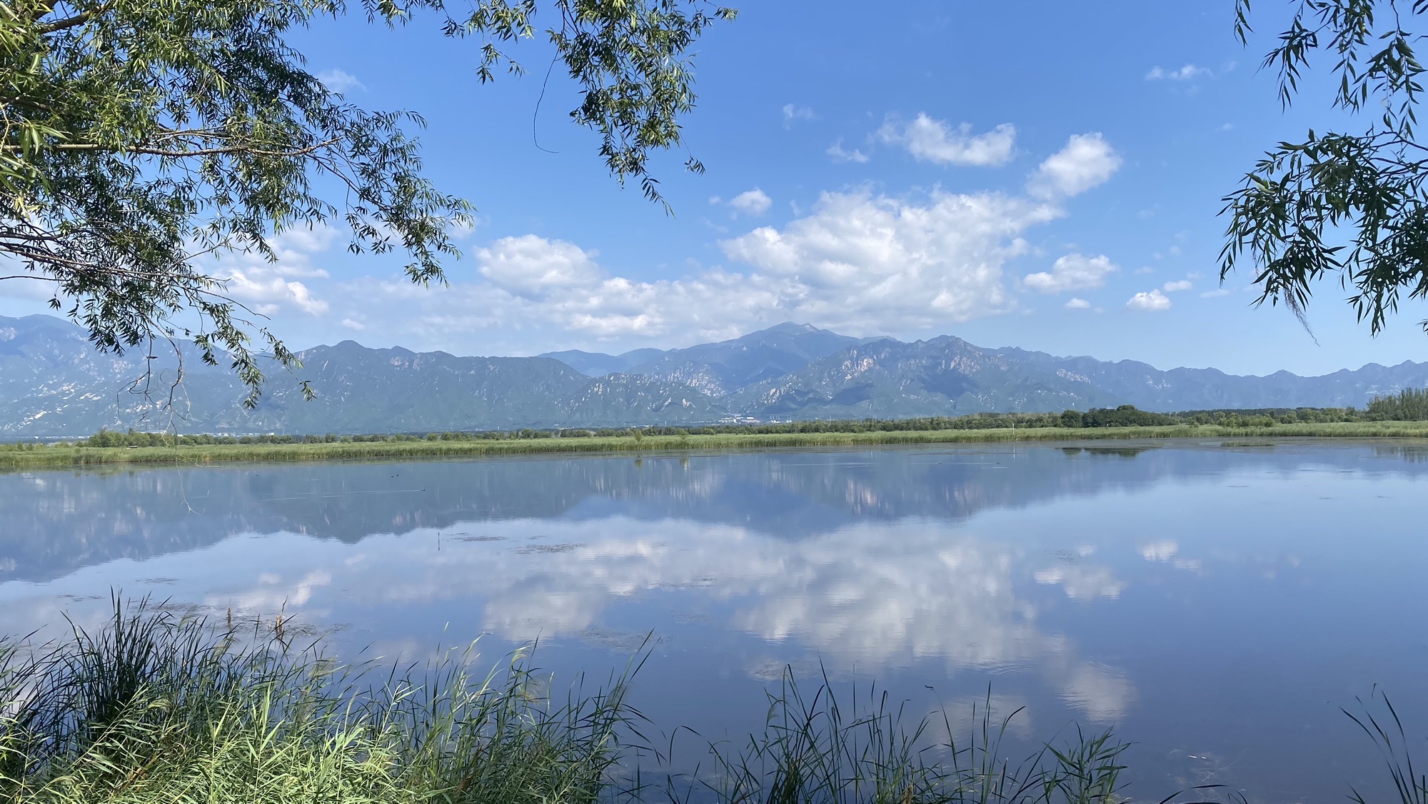 野鸭湖国家湿地公园旅行图片 1