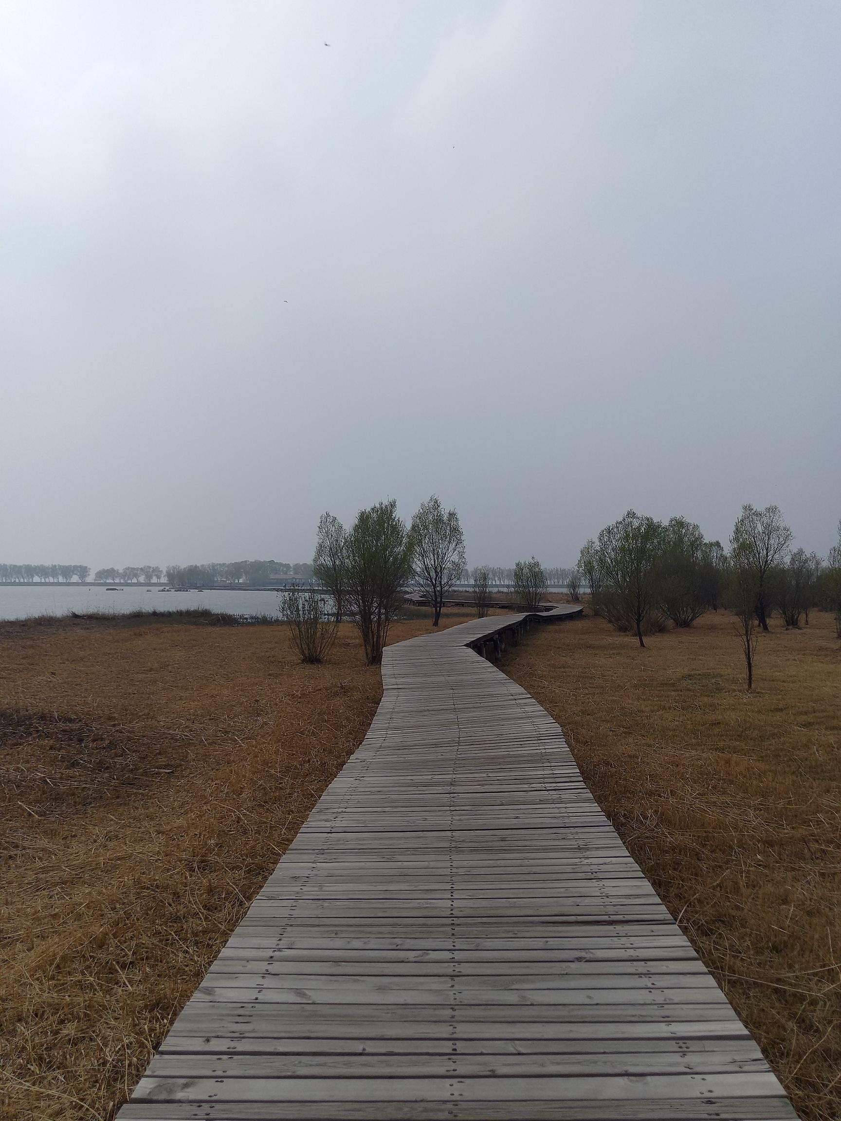 野鸭湖国家湿地公园旅行图片 2