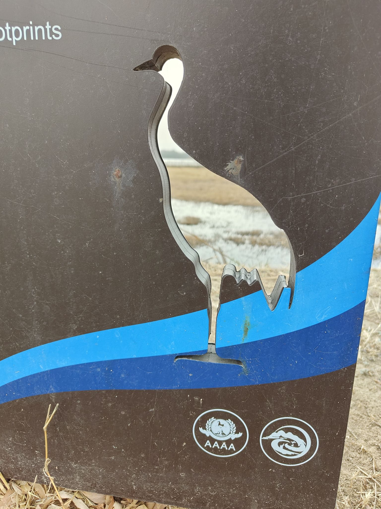 野鸭湖国家湿地公园旅行图片 3