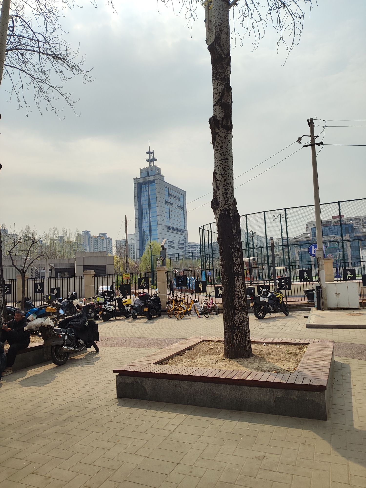 望京文化广场旅行图片 2