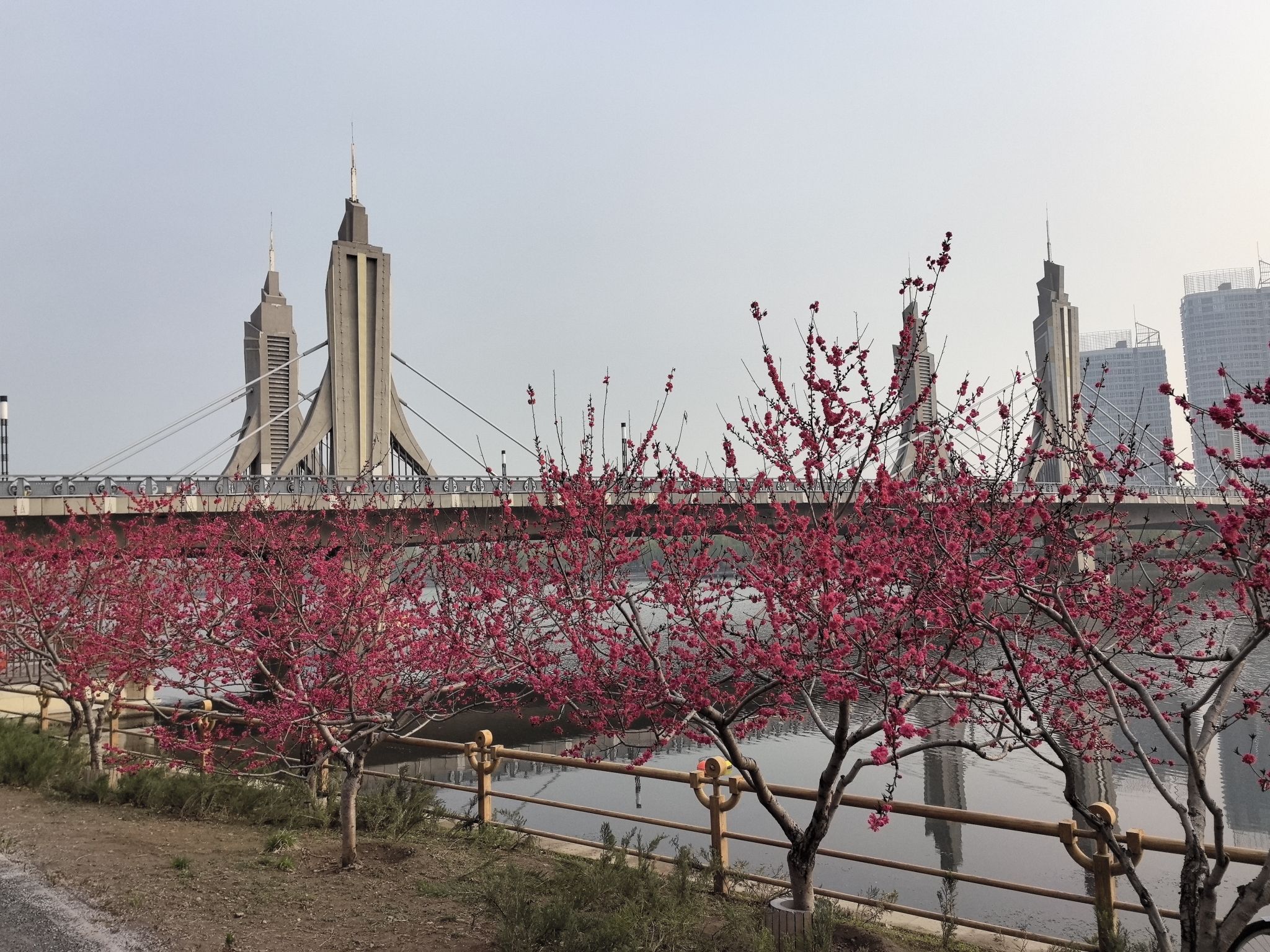 通州奥体公园旅行图片 2