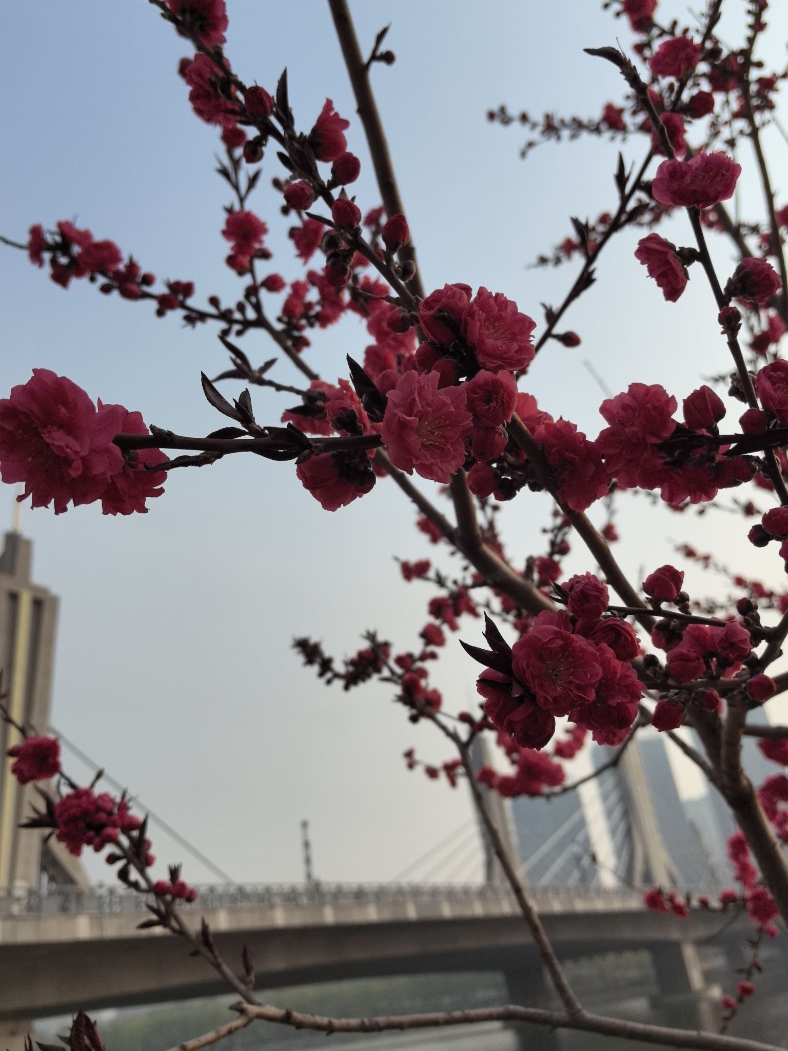 通州奥体公园旅行图片 1