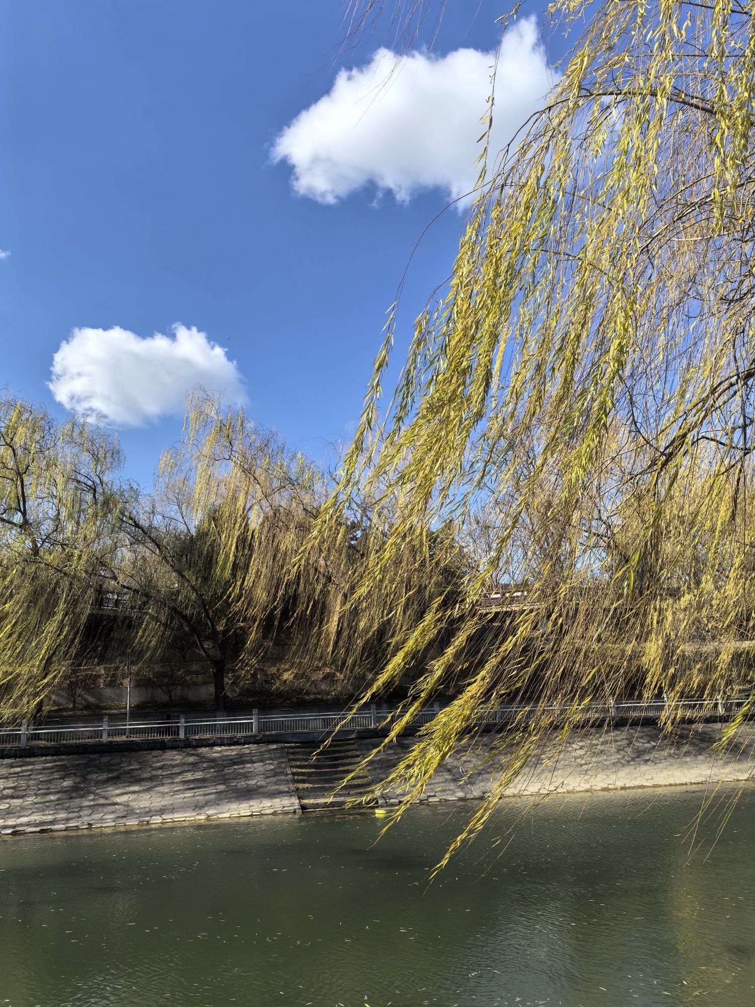 北京滨河公园旅行图片 3
