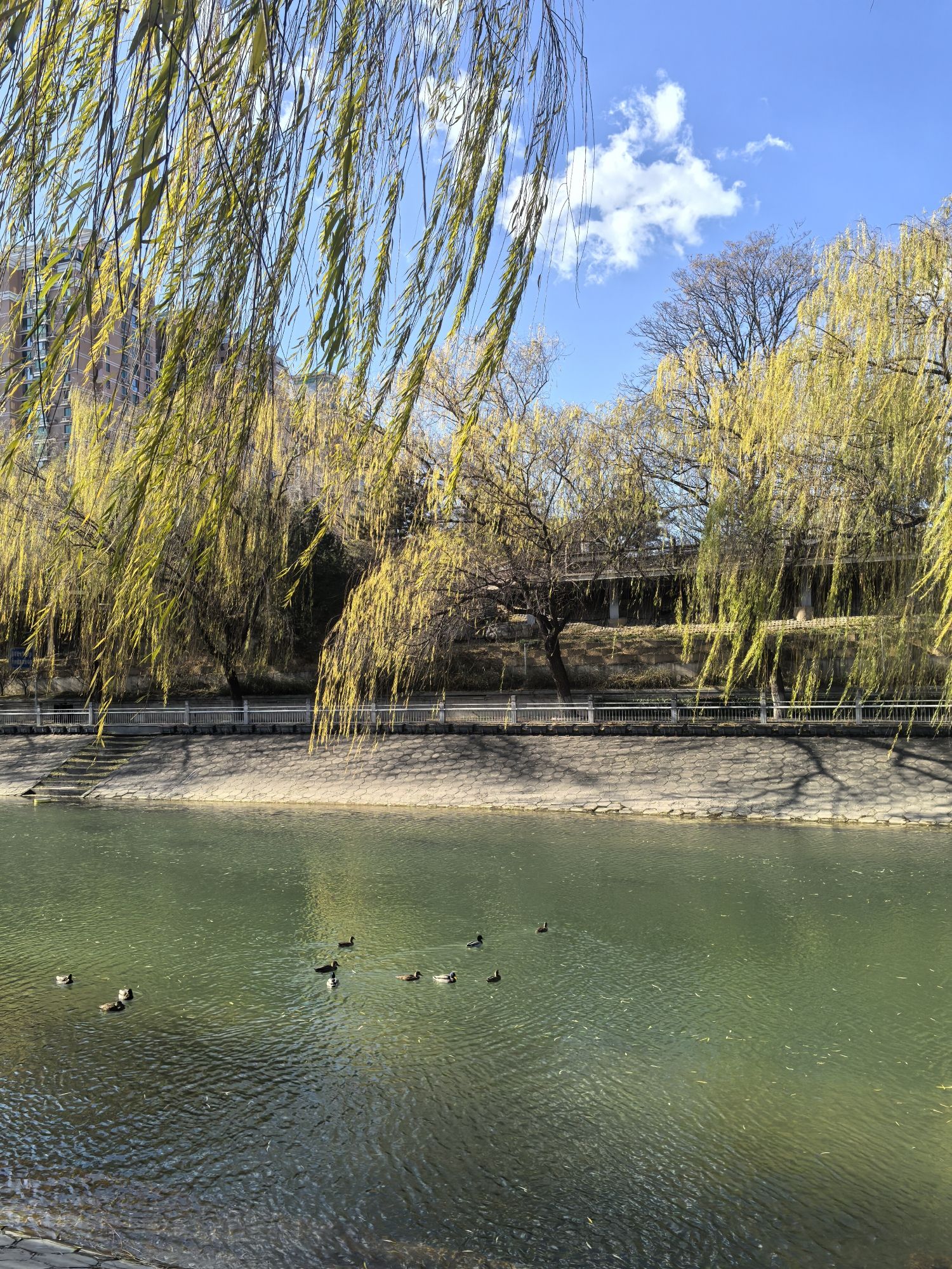 北京滨河公园旅行图片 2