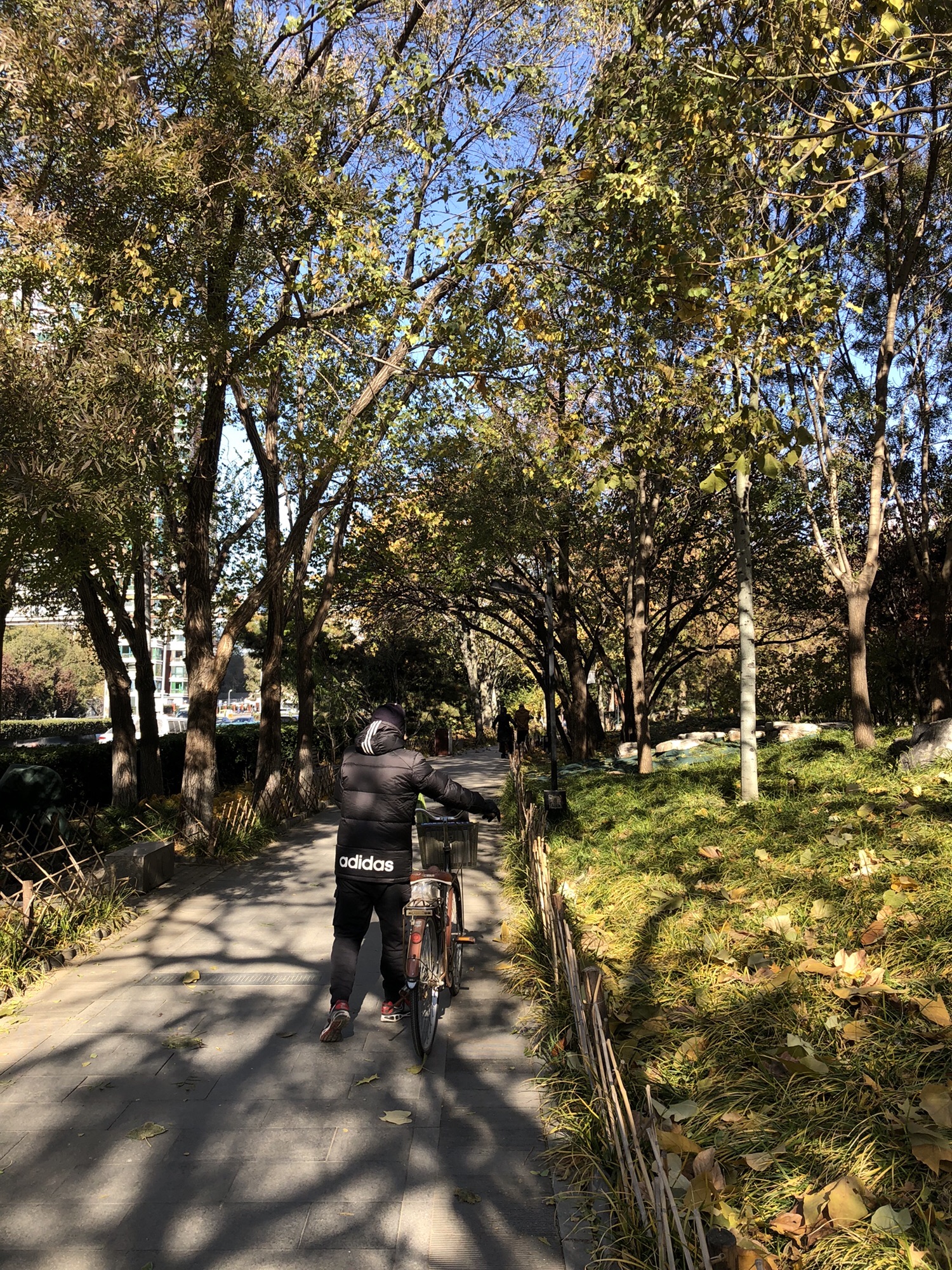 北京滨河公园旅行图片 2