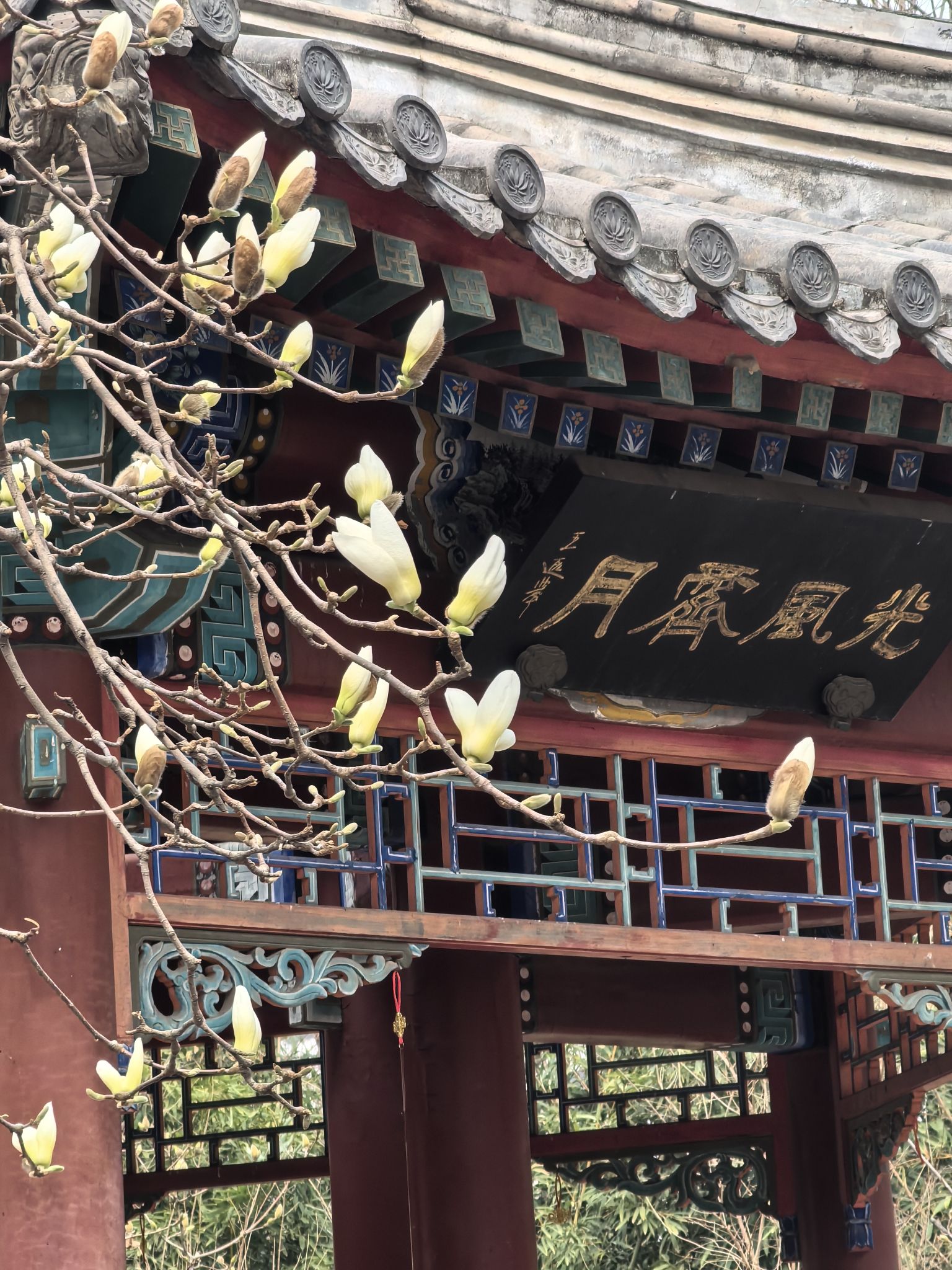 月坛公园旅行图片 3